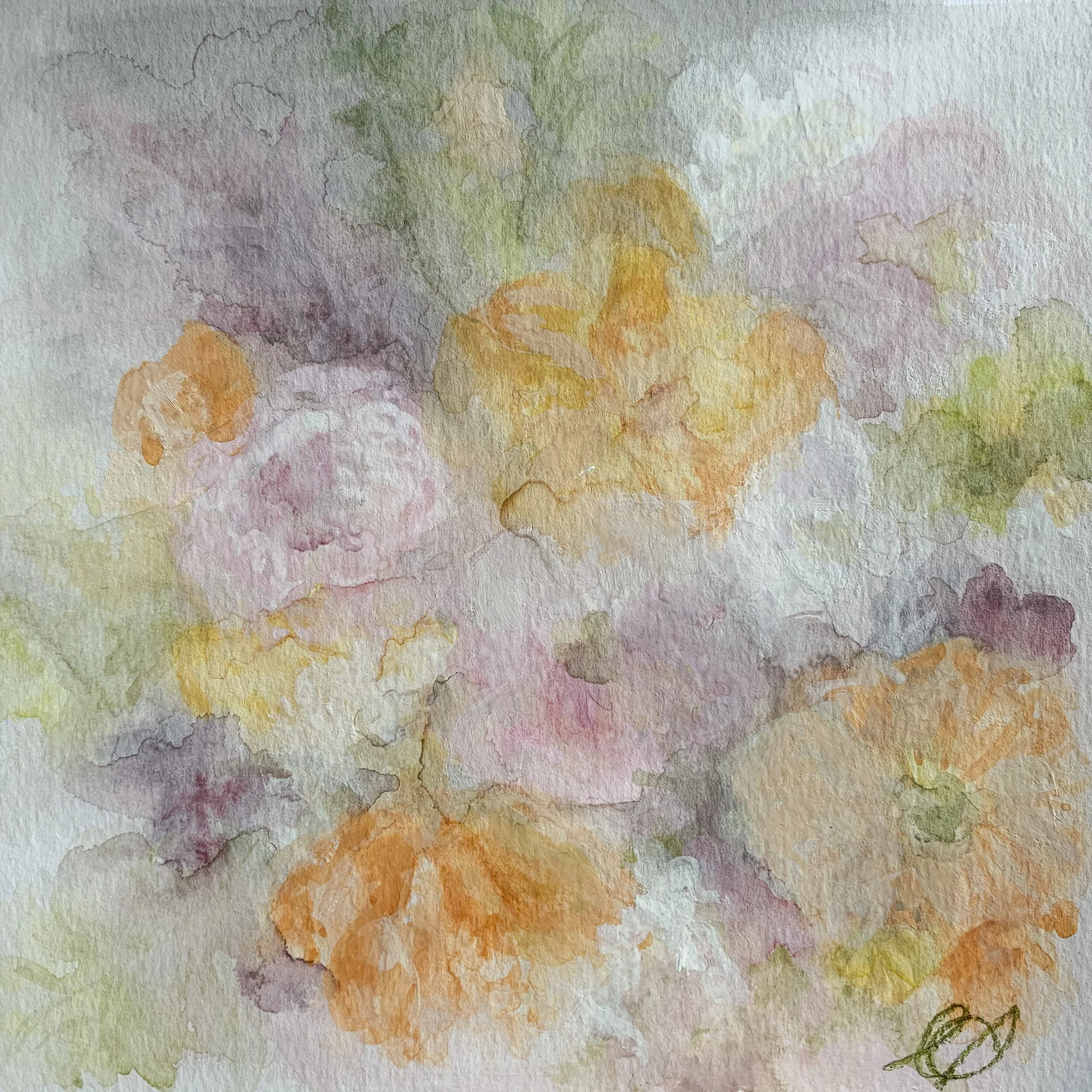 Ranunculus and Poppies