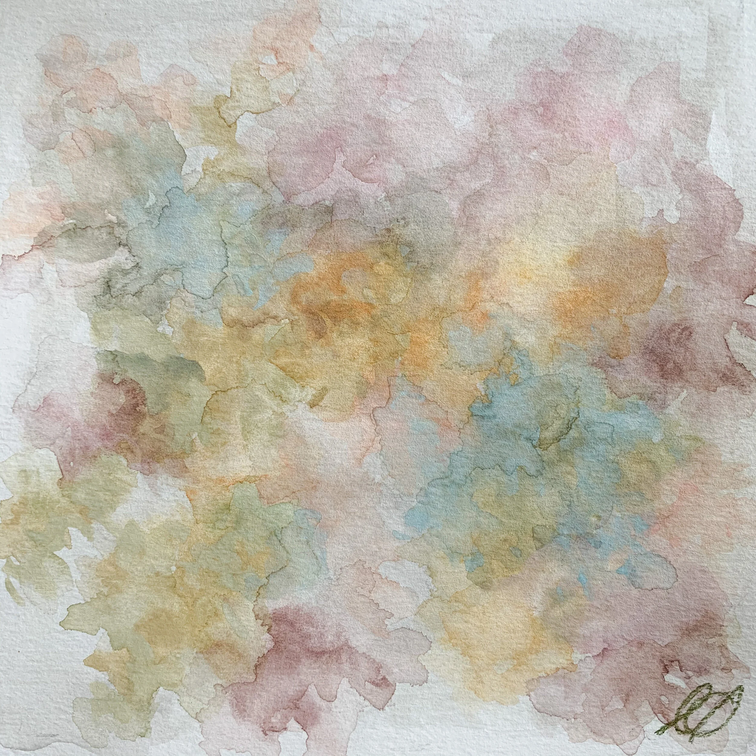 Forget-Me-Nots and Marigolds 
