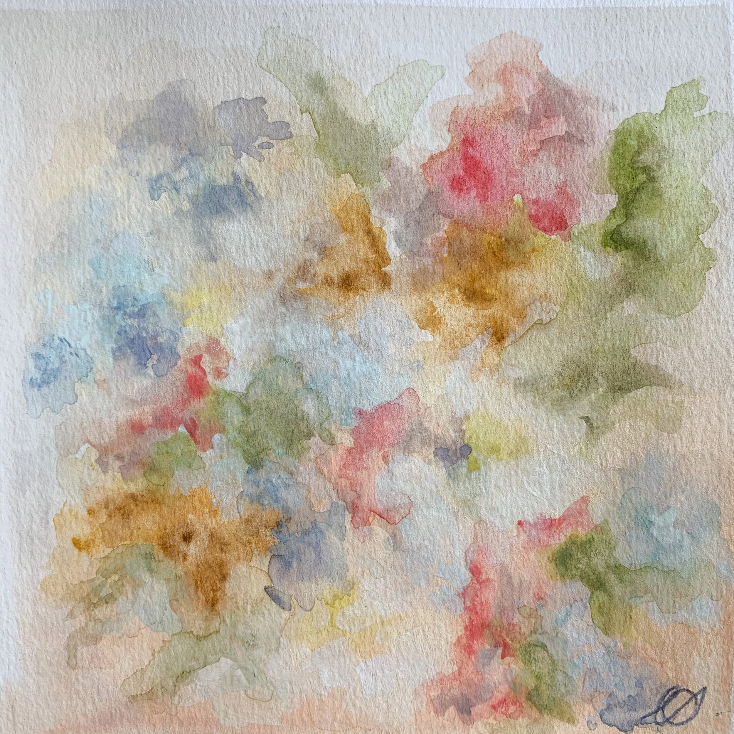 Daffodils and Hyacinth