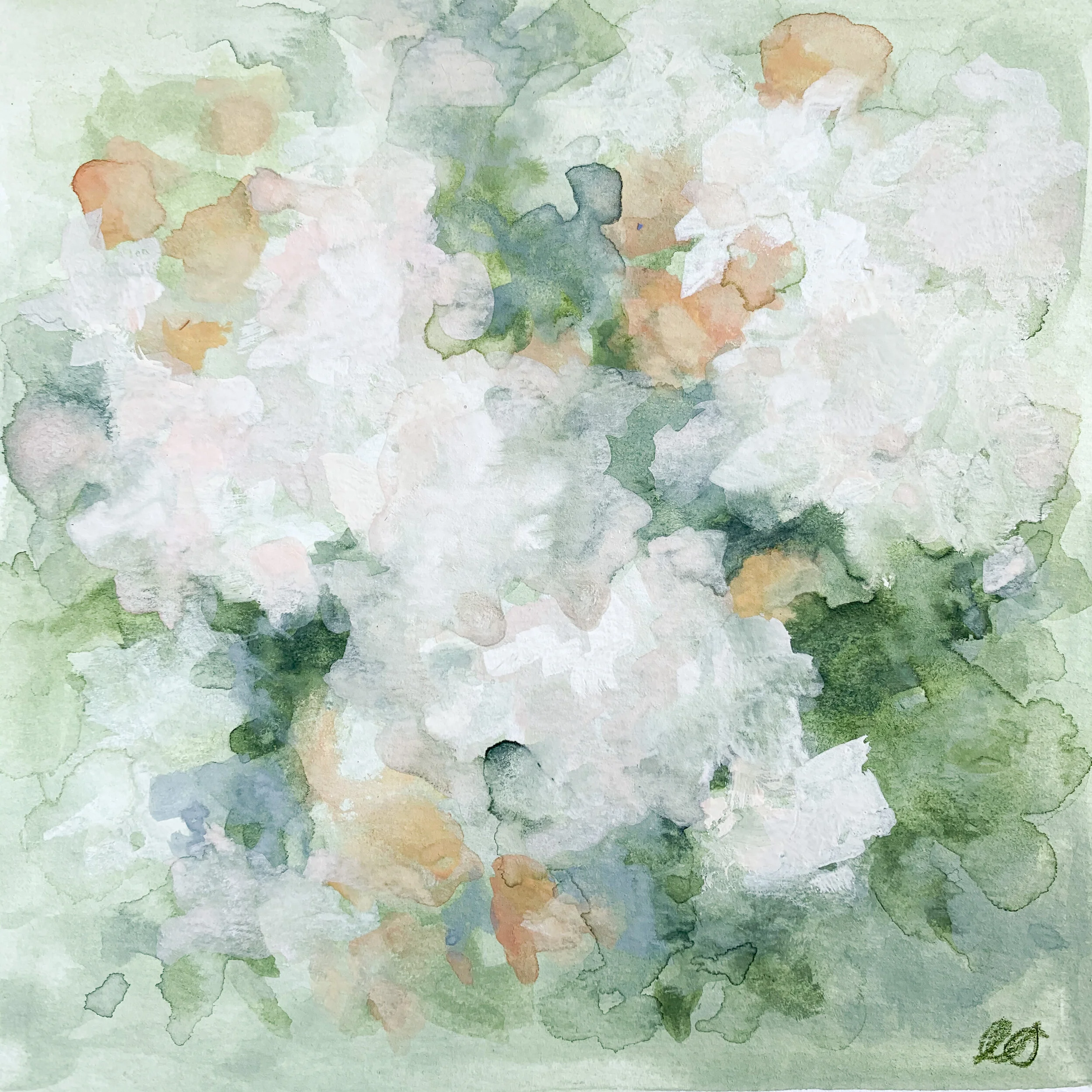 Oakleaf Hydrangea 2