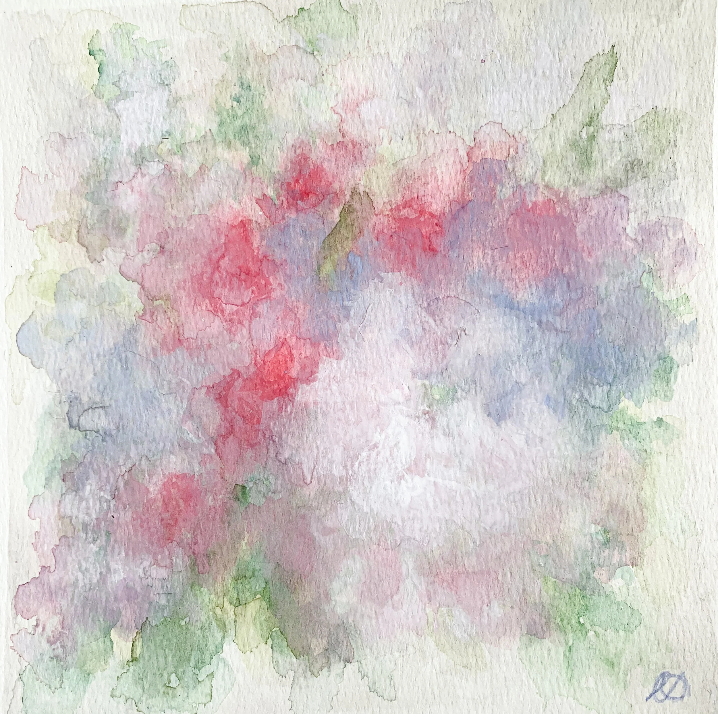 Delphinium and Dahlias 