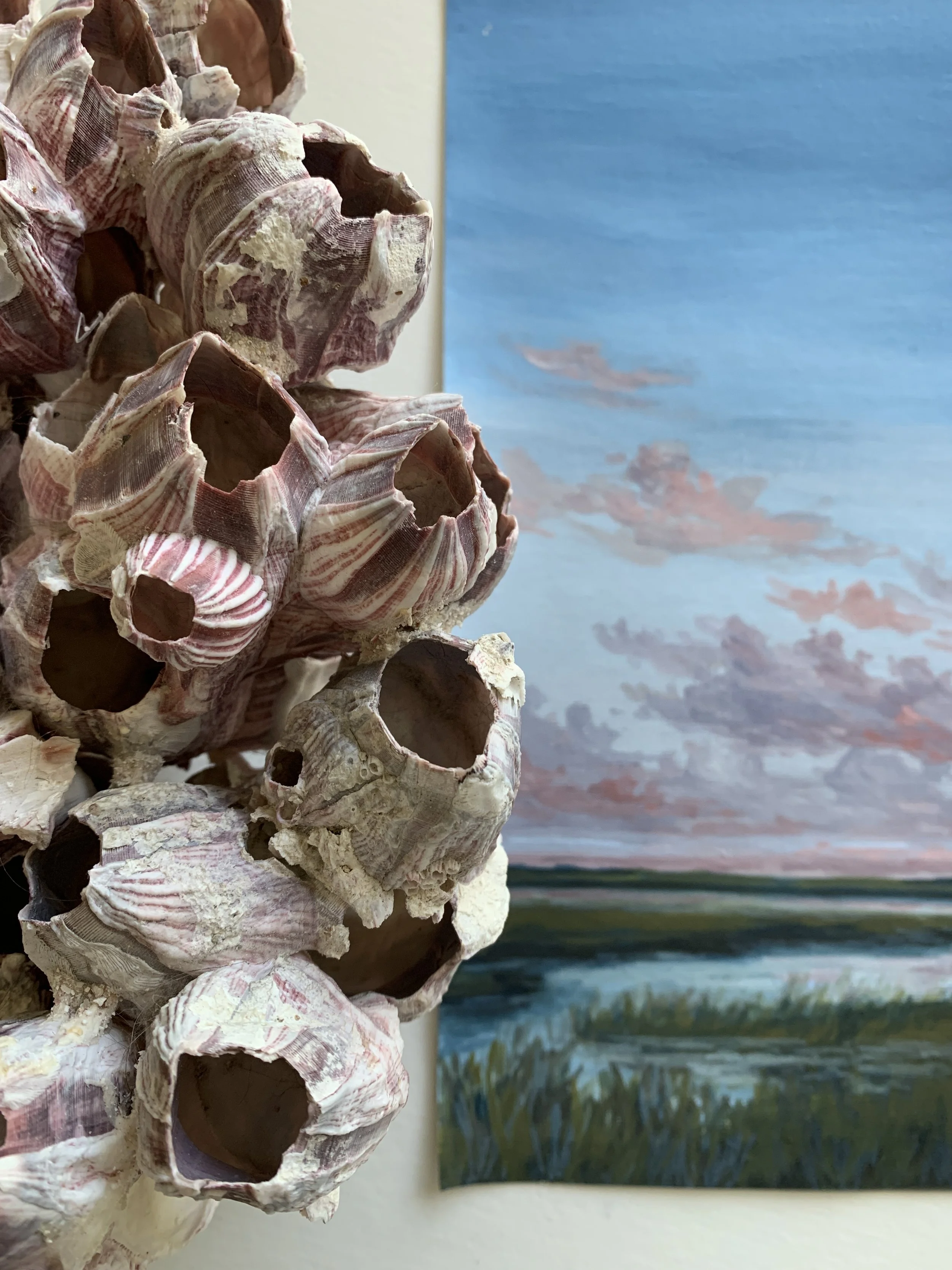 Photo Apr 18 2026, 3 40 47 PM.jpg