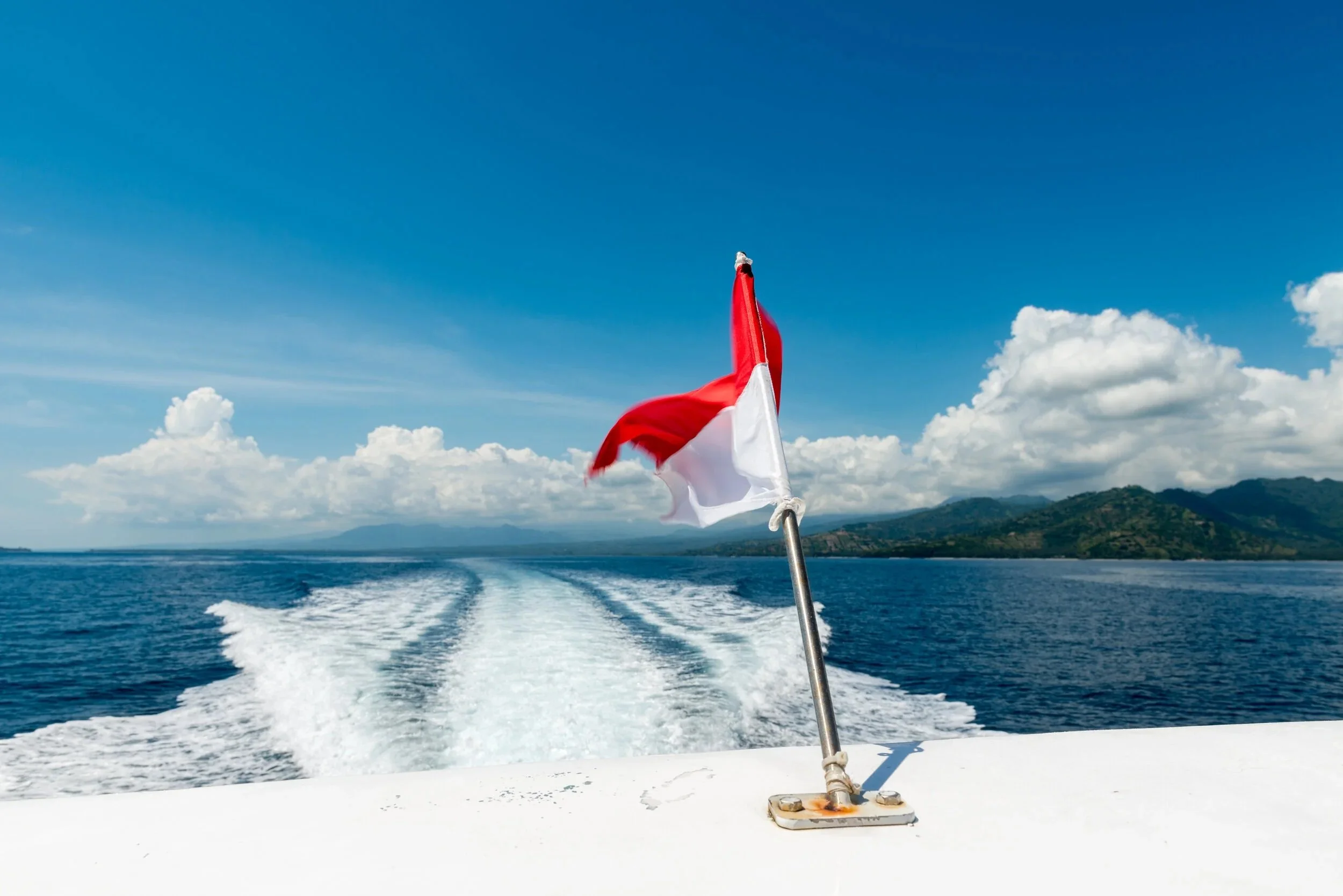 Reflections on Indonesian Technology Law and National Growth - Reza Reynaldi
