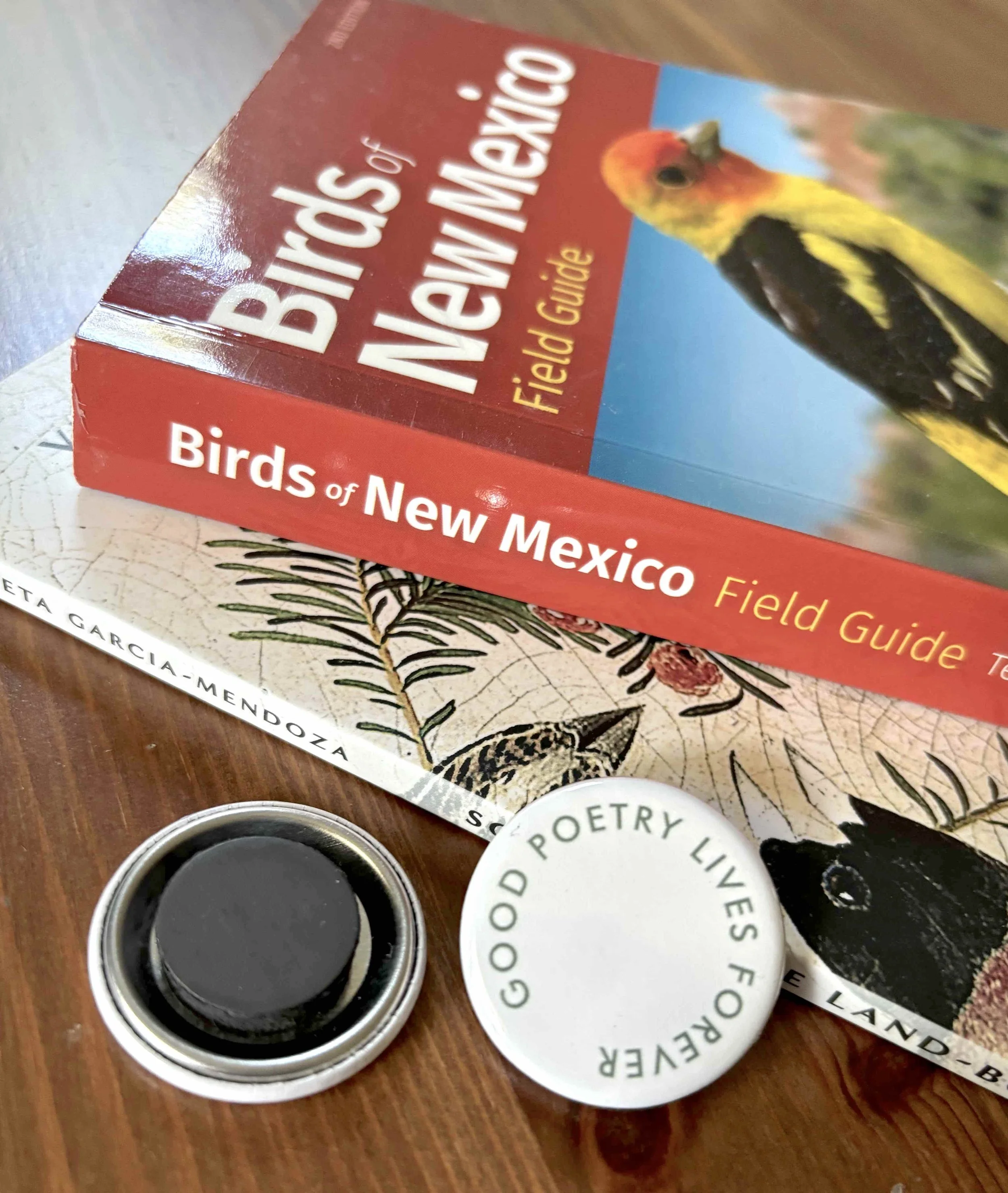 Magnet birds of new mexico.jpg
