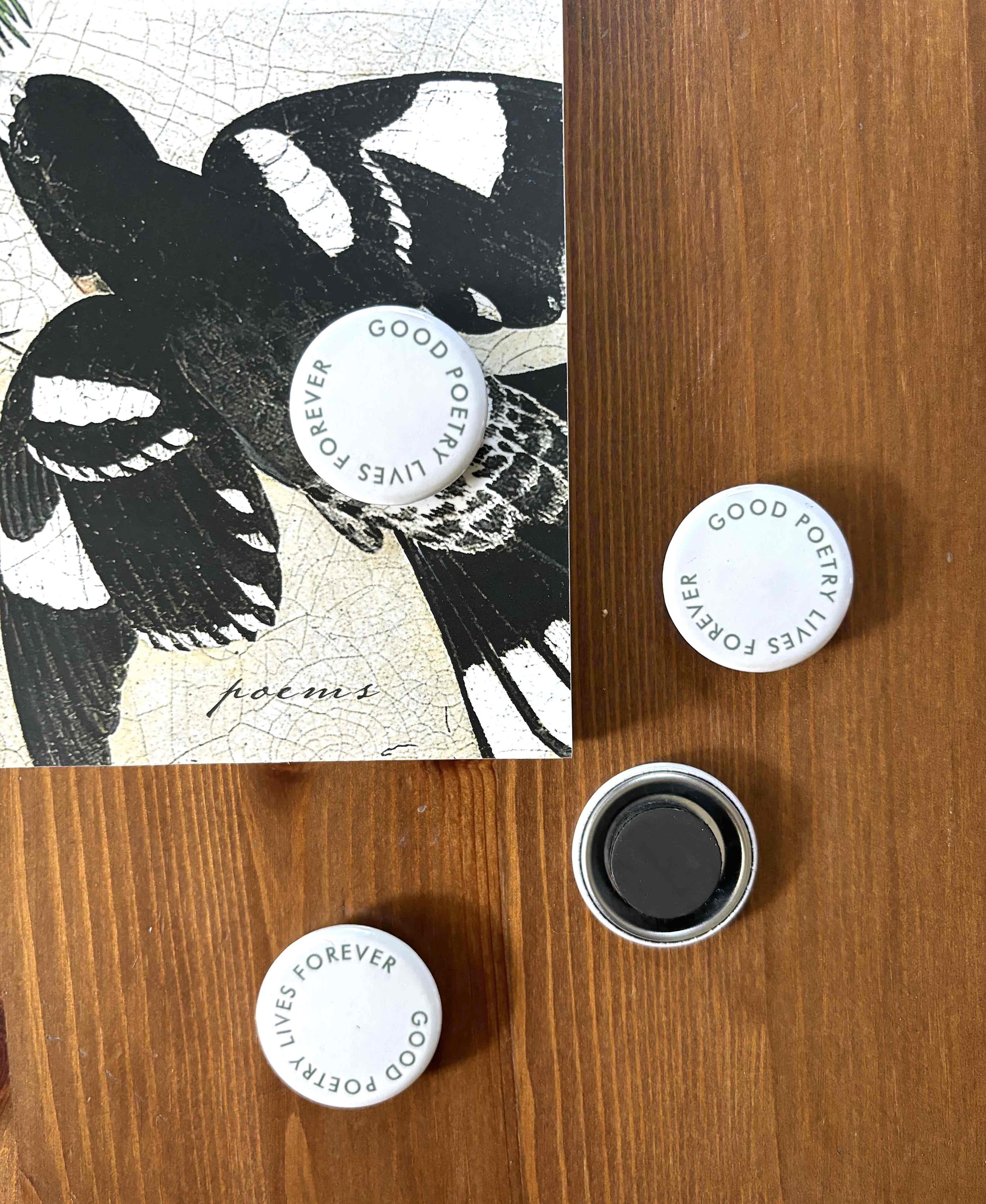 Magnet book cover.jpg