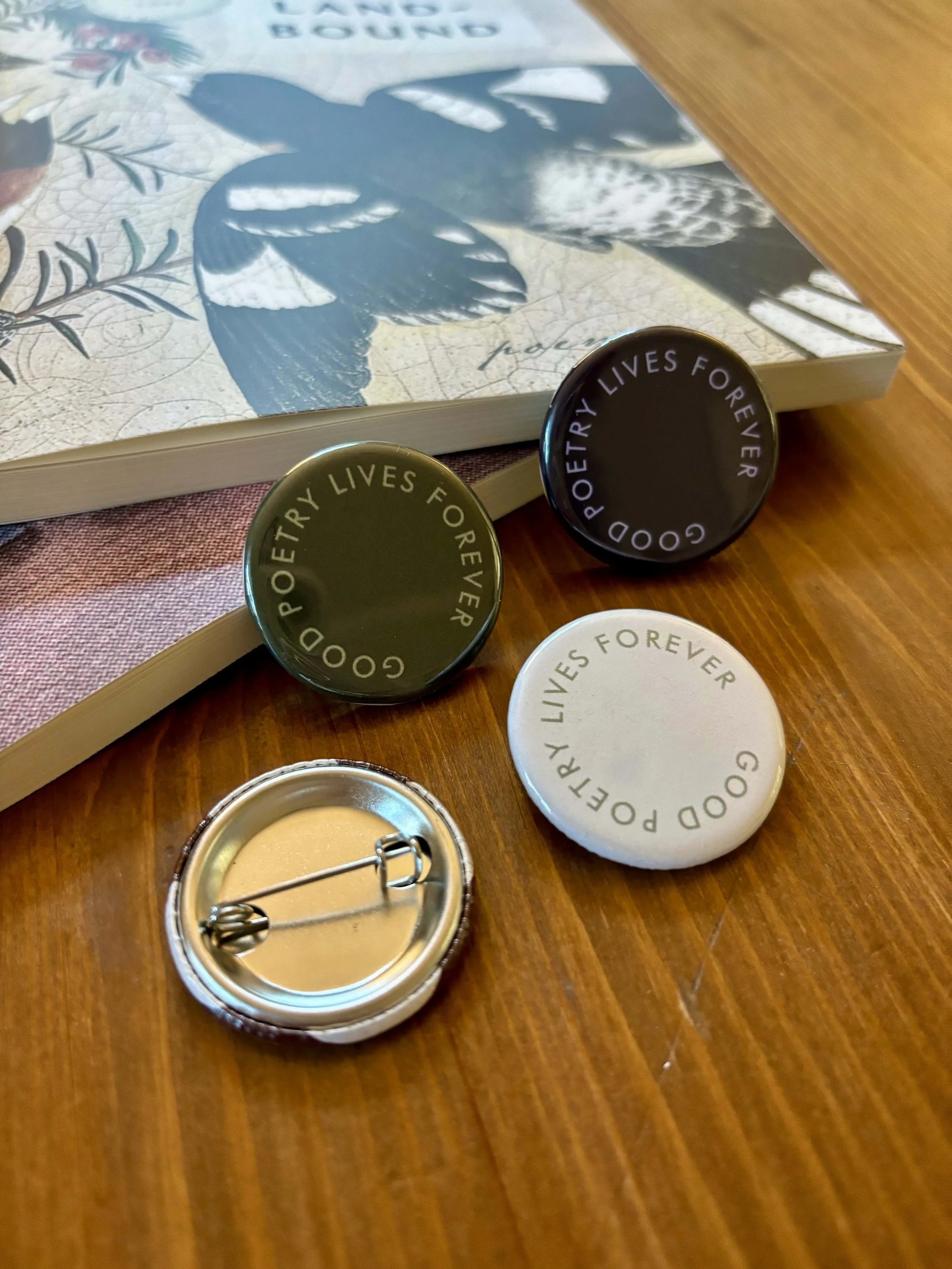 Pin group with back.jpg