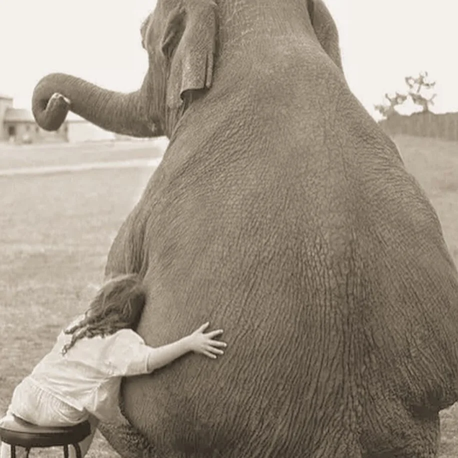 { 🖤 @classicgoat }