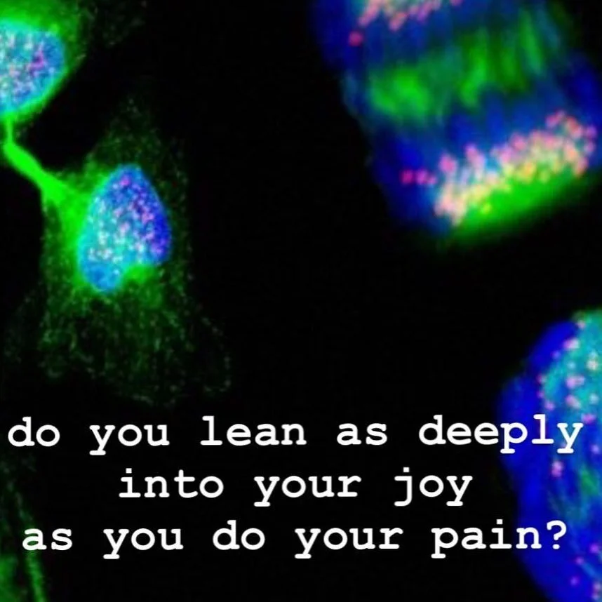 { do you : @whatexactlyisupchuck }