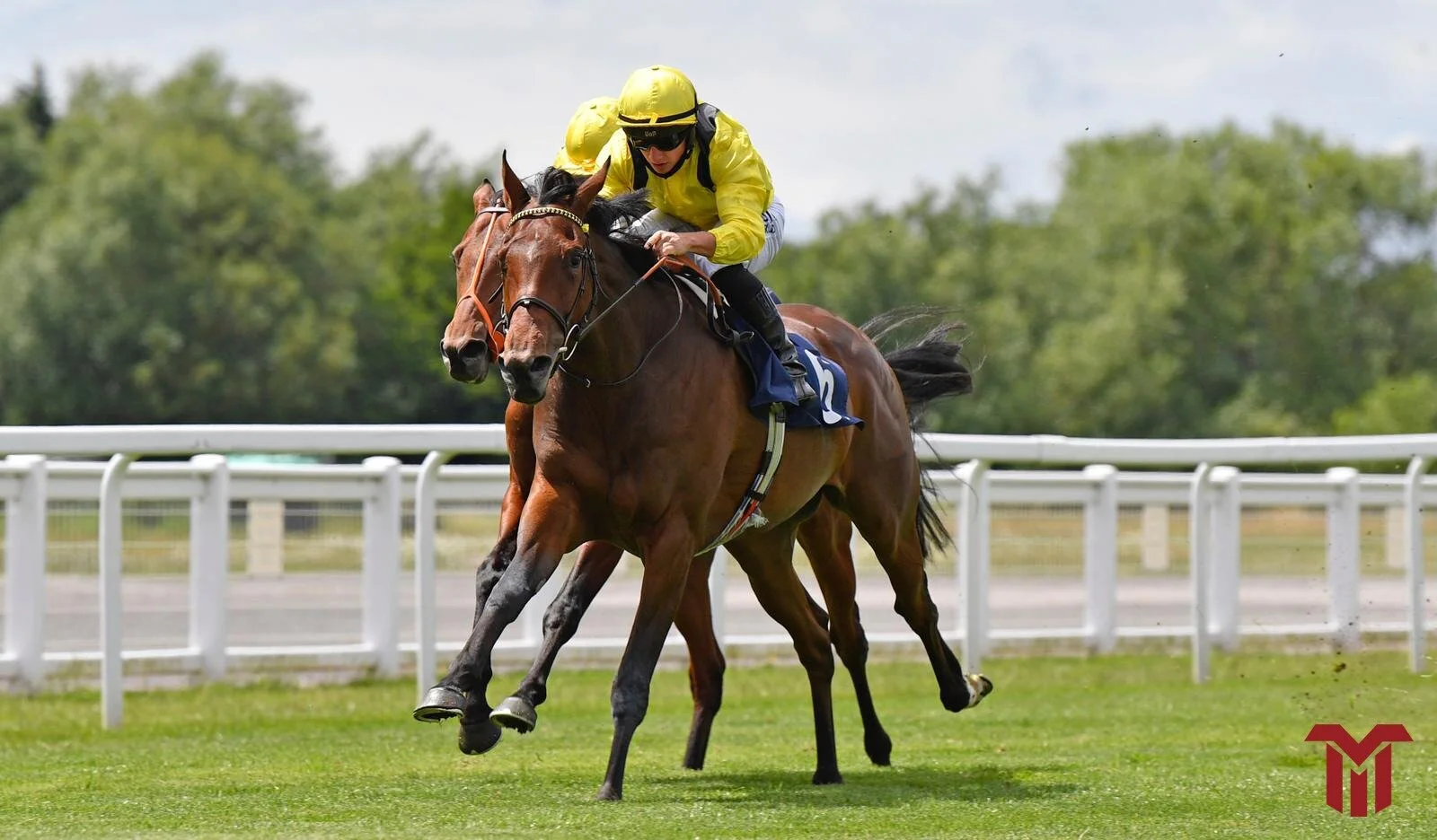 Superb 1st month back!