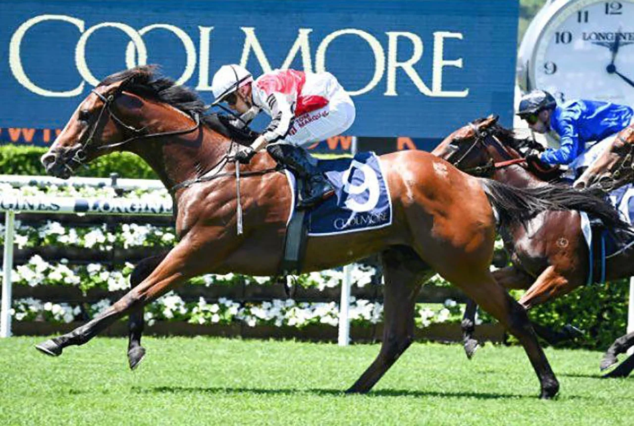 Not the Australian Adventure I had hoped for!