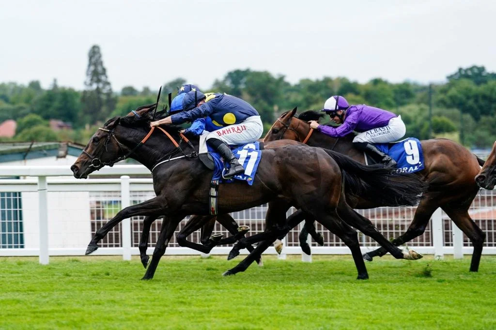 Goodwood on the horizon