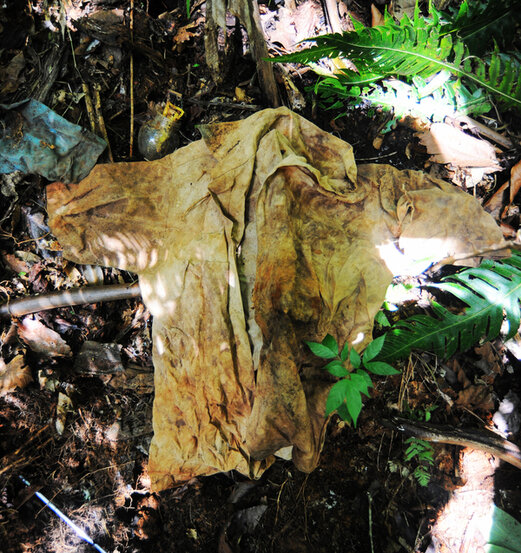  A guayabera shirt with blood stains unearthed from under the soil found in the hideaway of the infamous fugitive.&nbsp; 