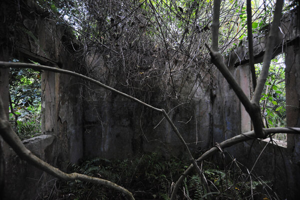 Th abandoned home of Toño Bicicleta's mother, Doña Toña, in the mountains of Lares, Puerto Rico.