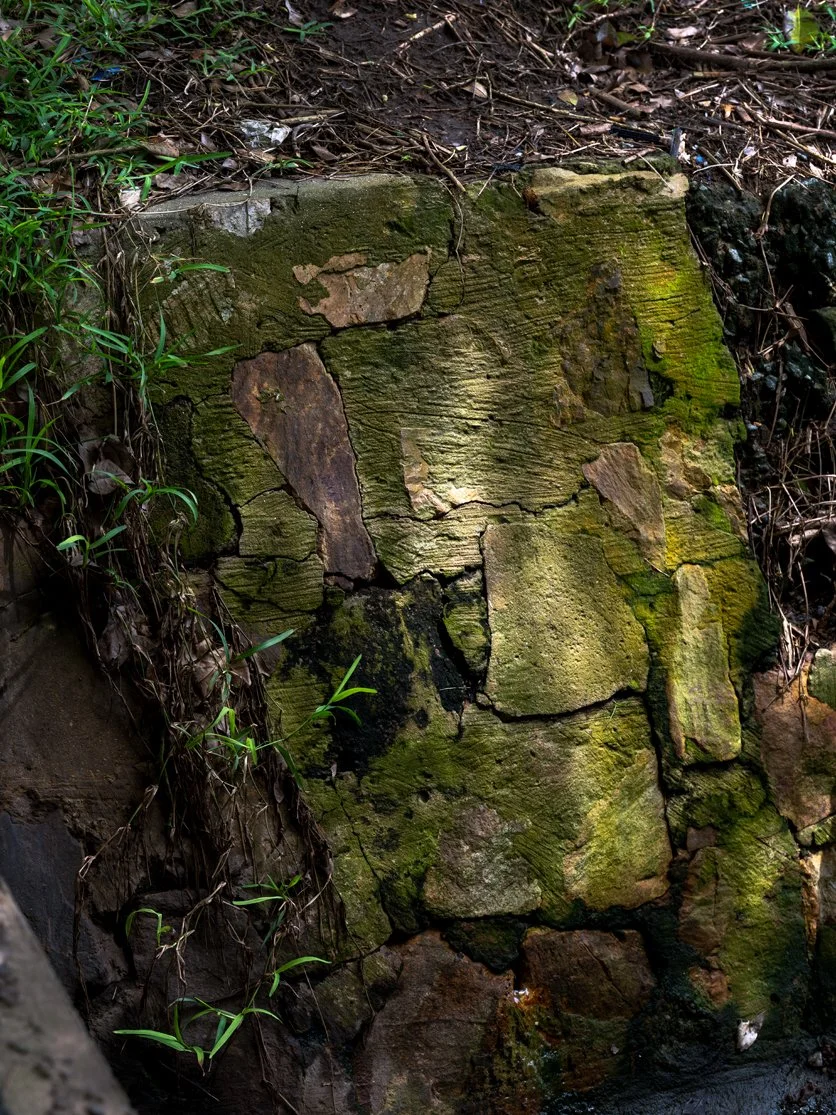 DSCF9480.jpg
