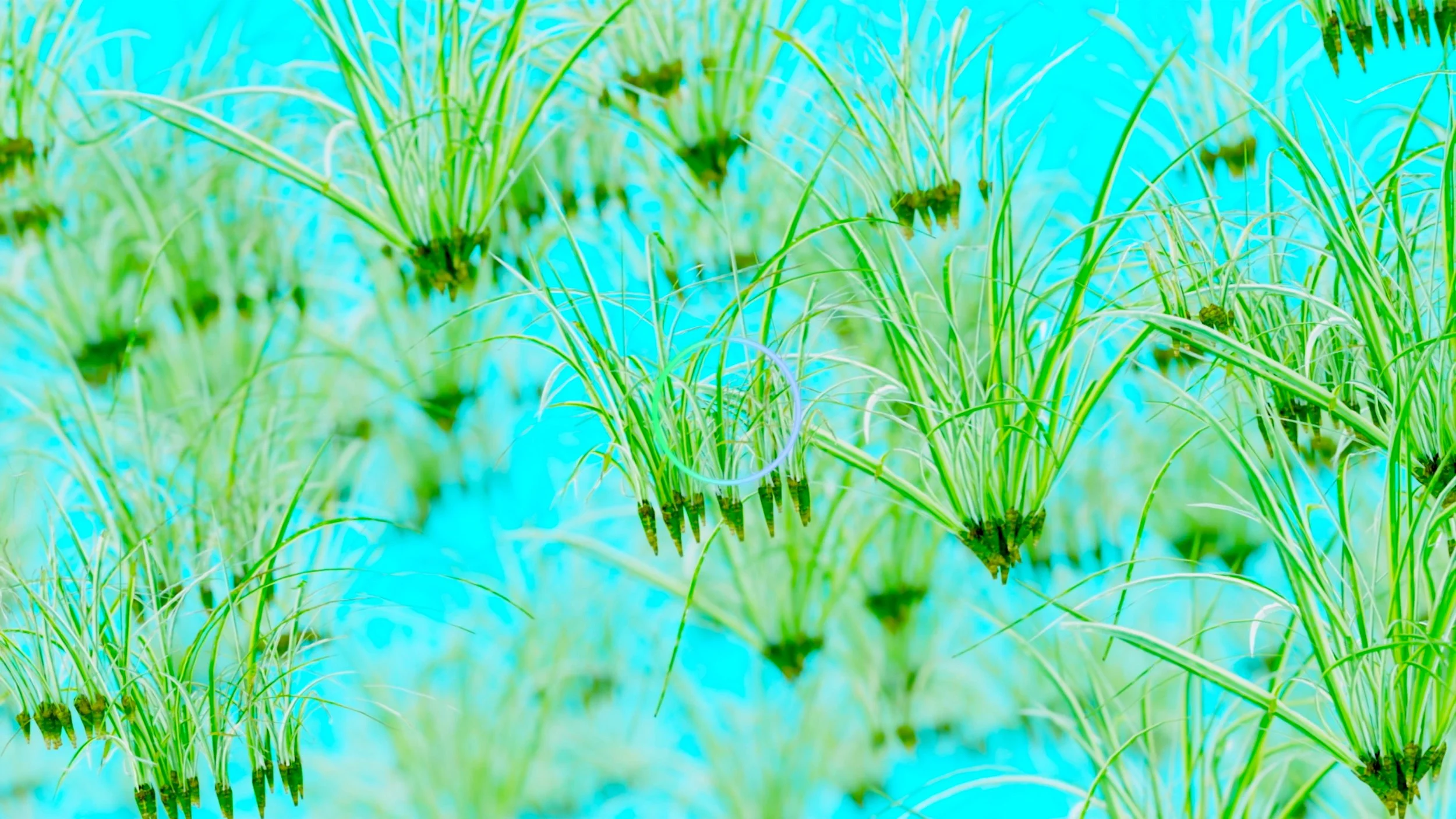 LoadingScreen_02_6.1.2_6.1.2 - color.jpg