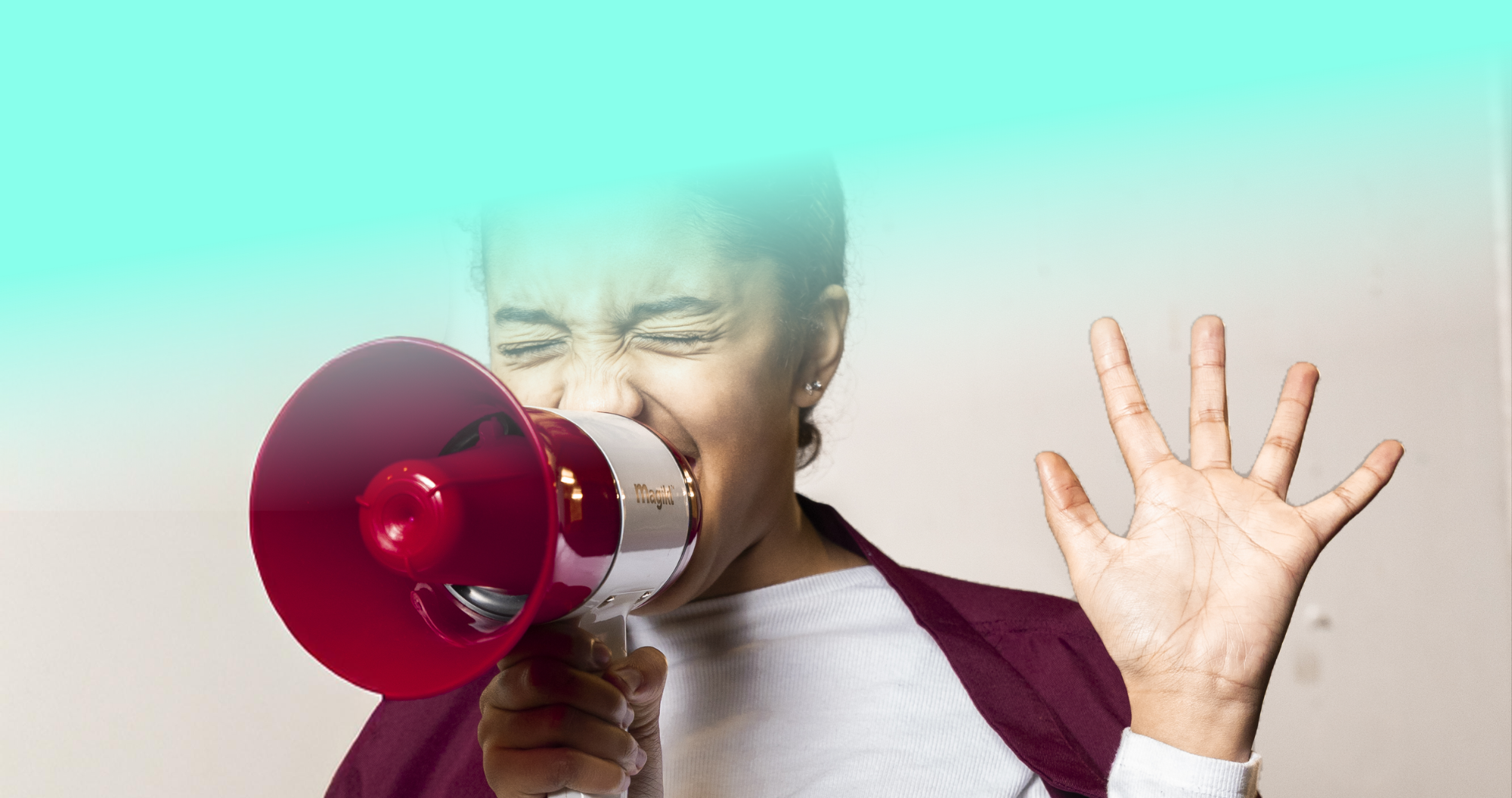 festivals main banner.png