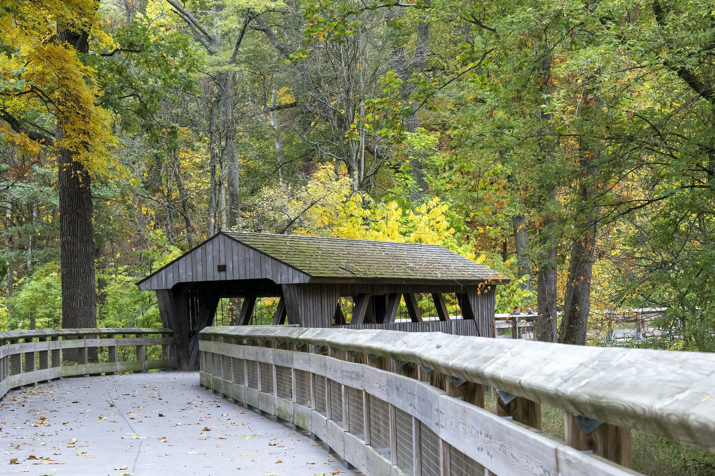 SJS And Your Metroparks – How Are They Alike?