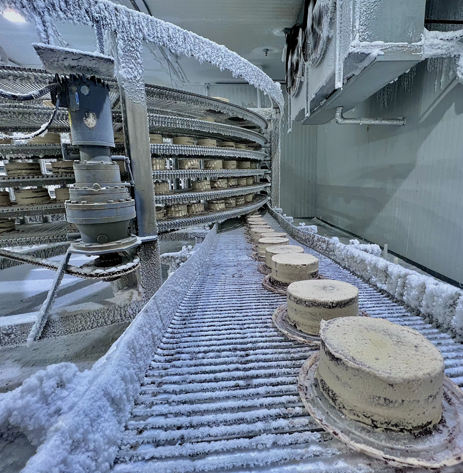 industrial blaster freezer used in food industries