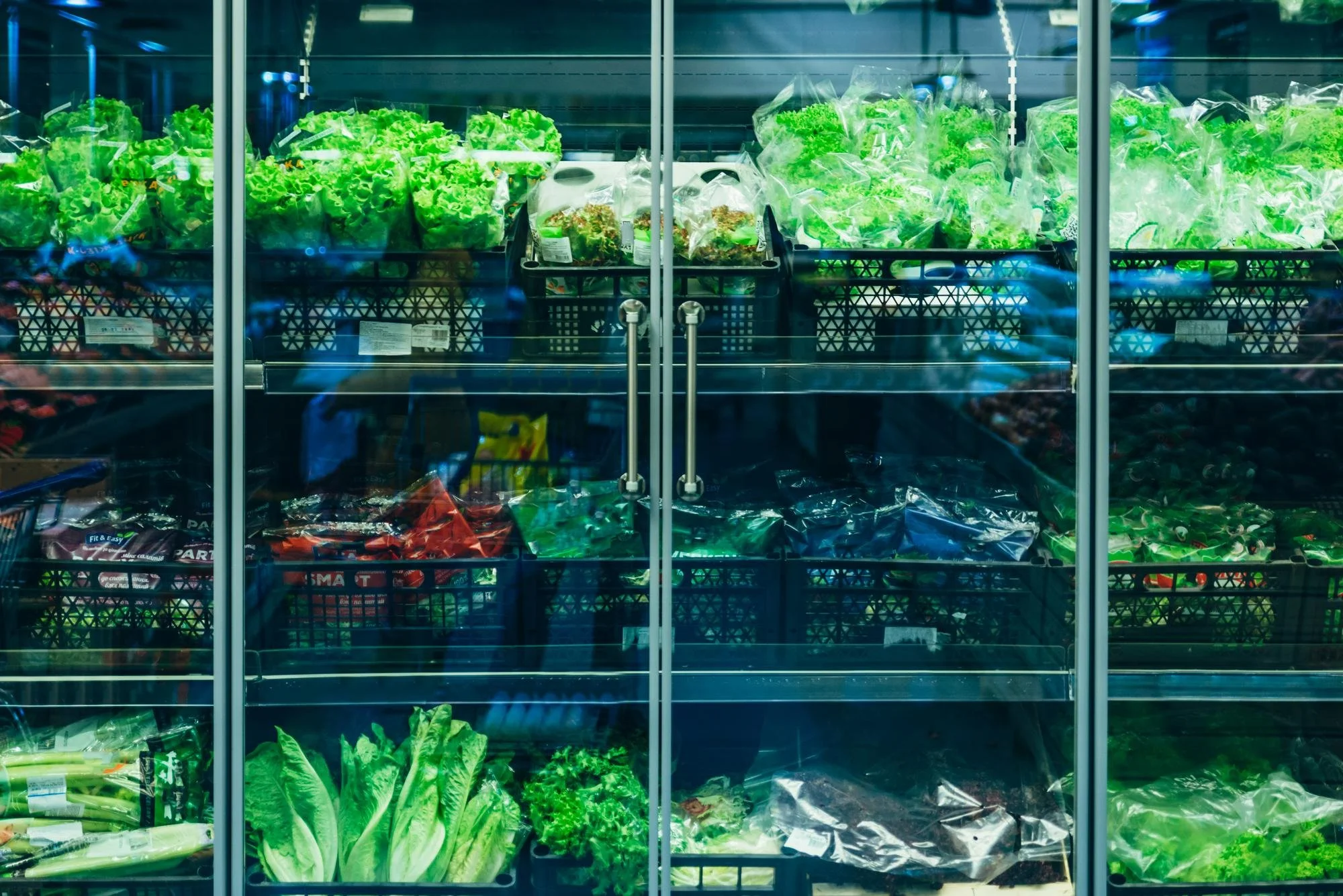 Refrigerator door with shelves of packaged lettuce, cilantro, and other greens in a grocery store.
