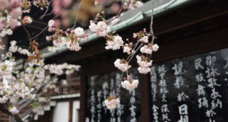What Is Ikigai and How Does It Work?