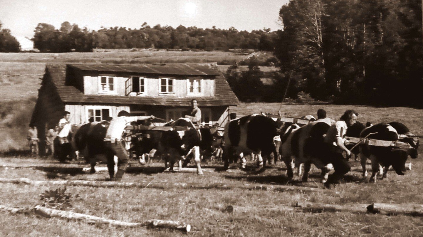 A Brief History of the Minga Tradition in Chiloé