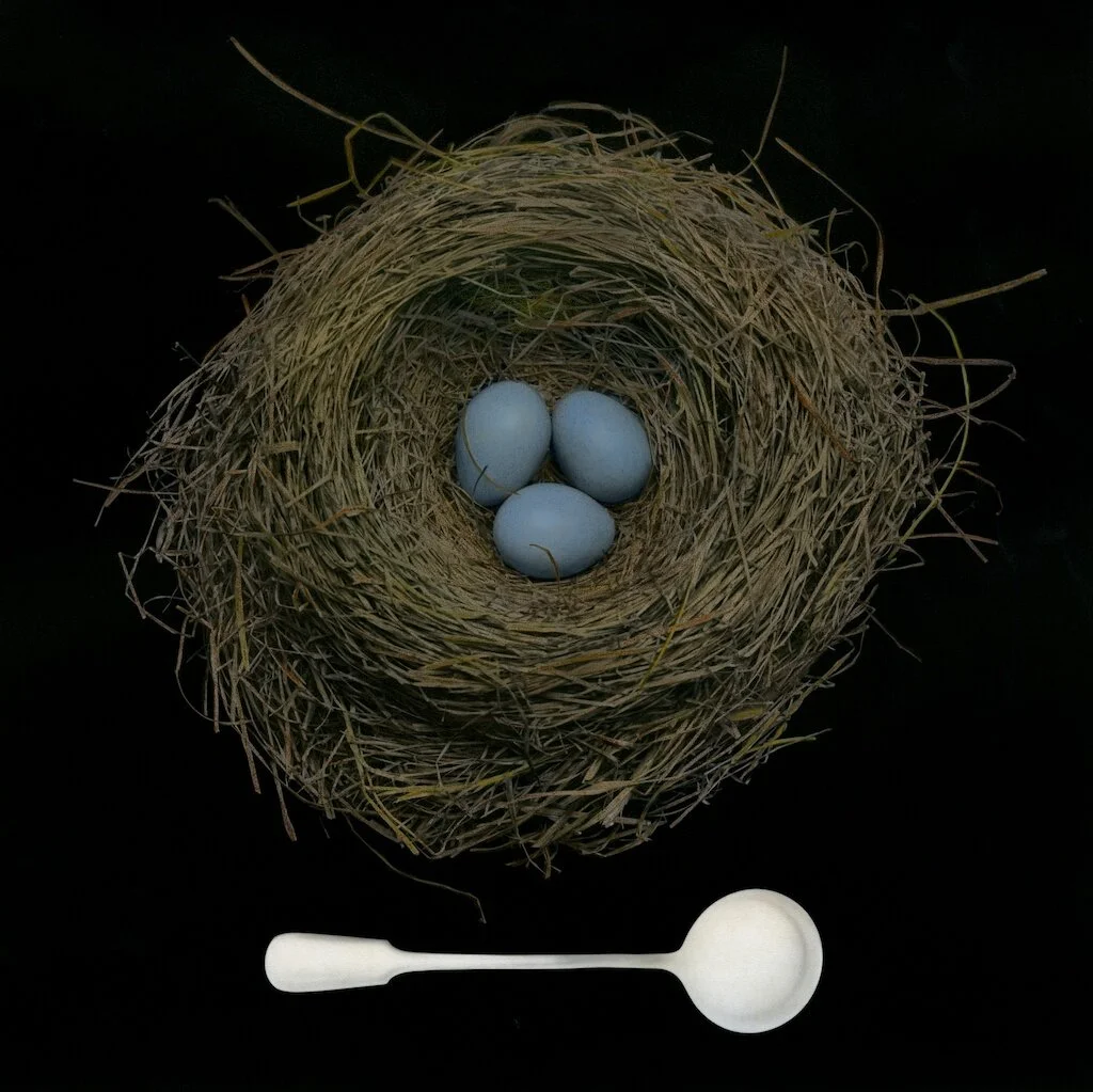 Nourish/Devour On-Line Exhibit