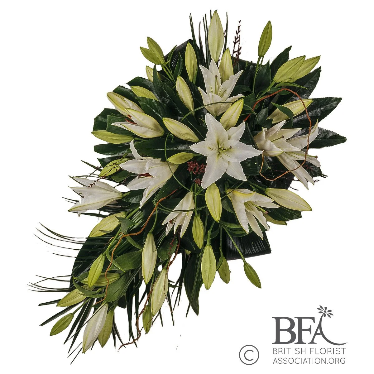 oriental-lilies-flowers