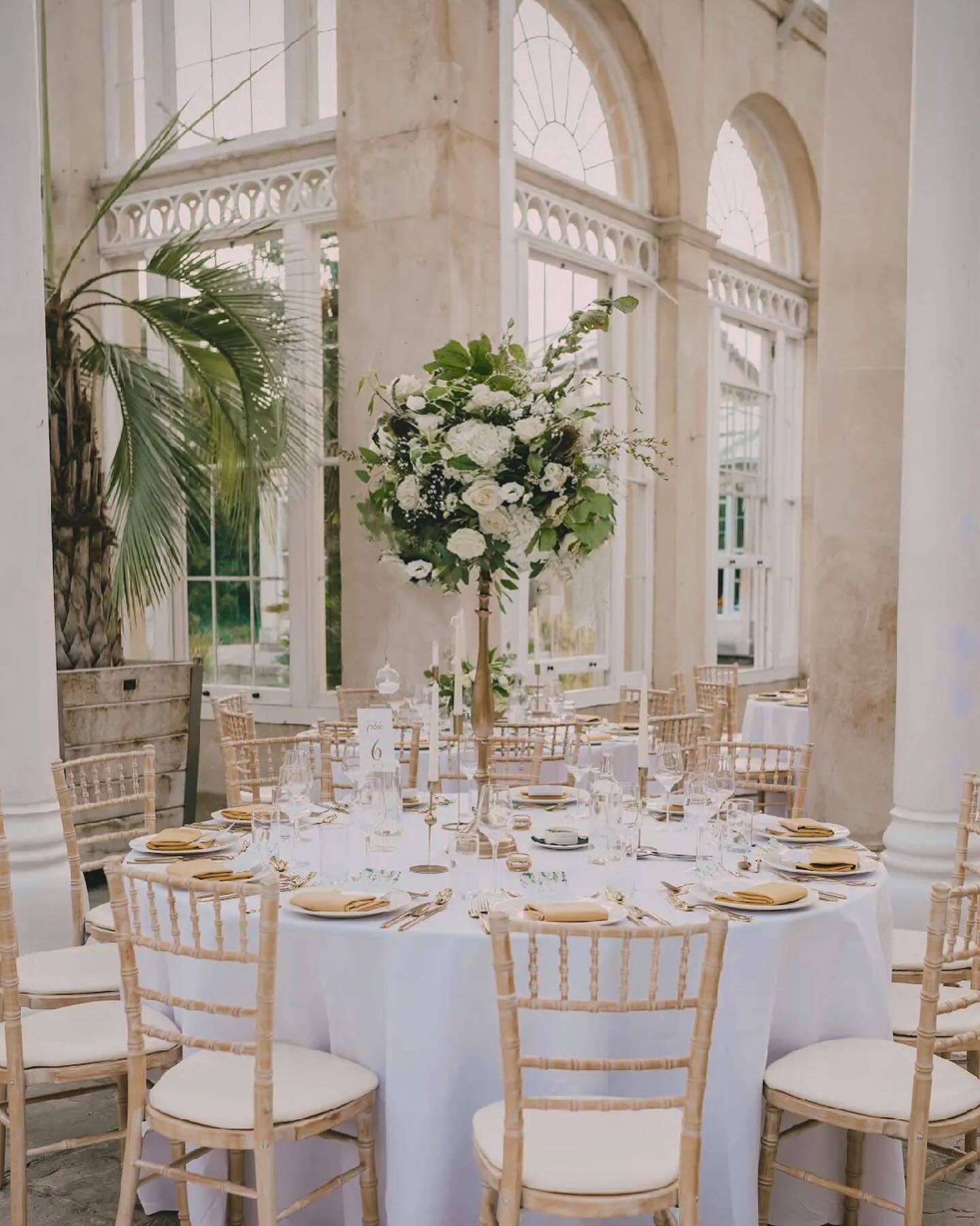 Syon Conservatory is an absolute favourite when we think of a special location in London. It&rsquo;s full of natural light and old palm trees, high glass ceilings and surrounded by beautiful, well kept gardens. When you get there you&rsquo;re enterin
