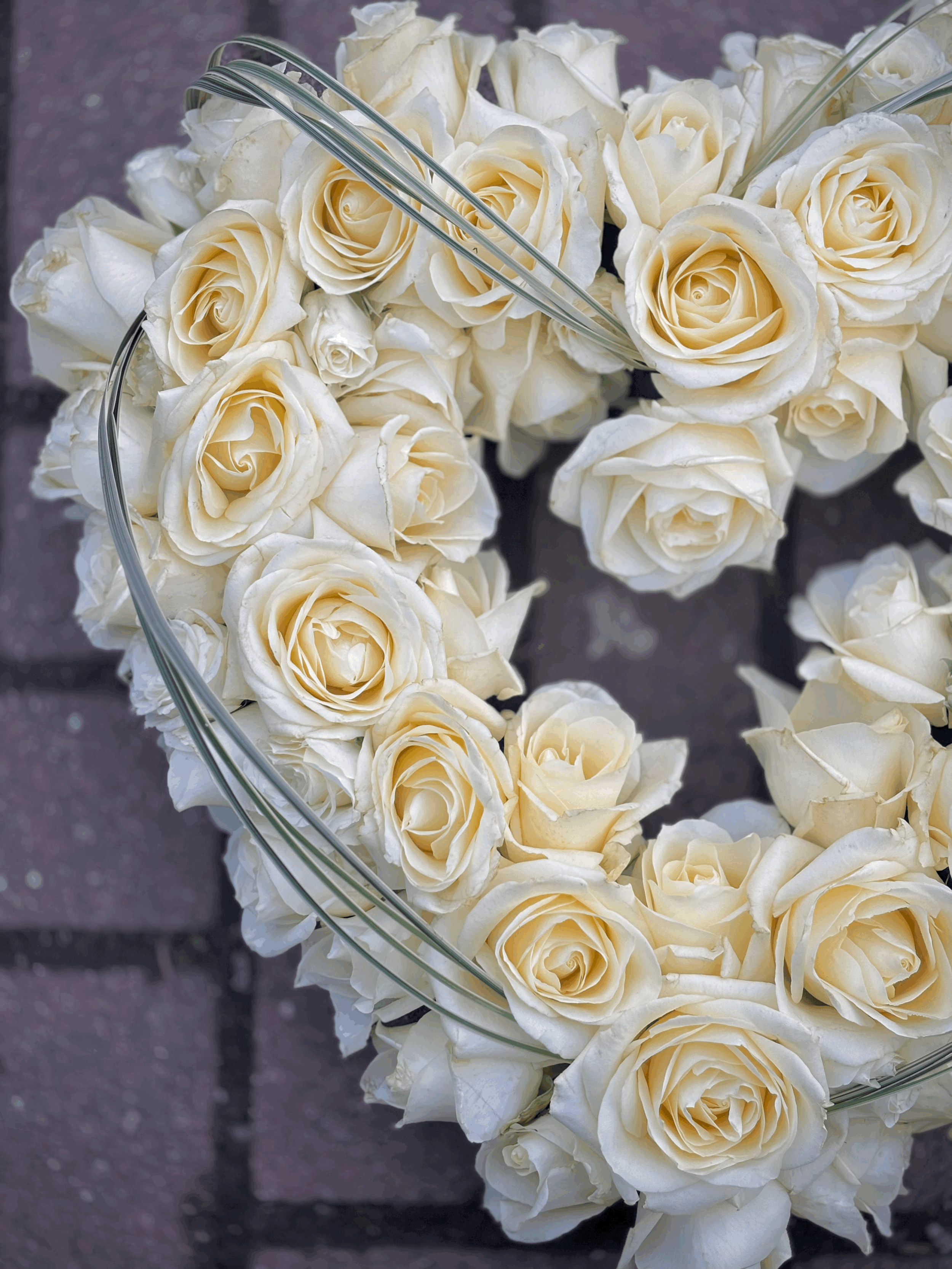 Only Roses Open Heart