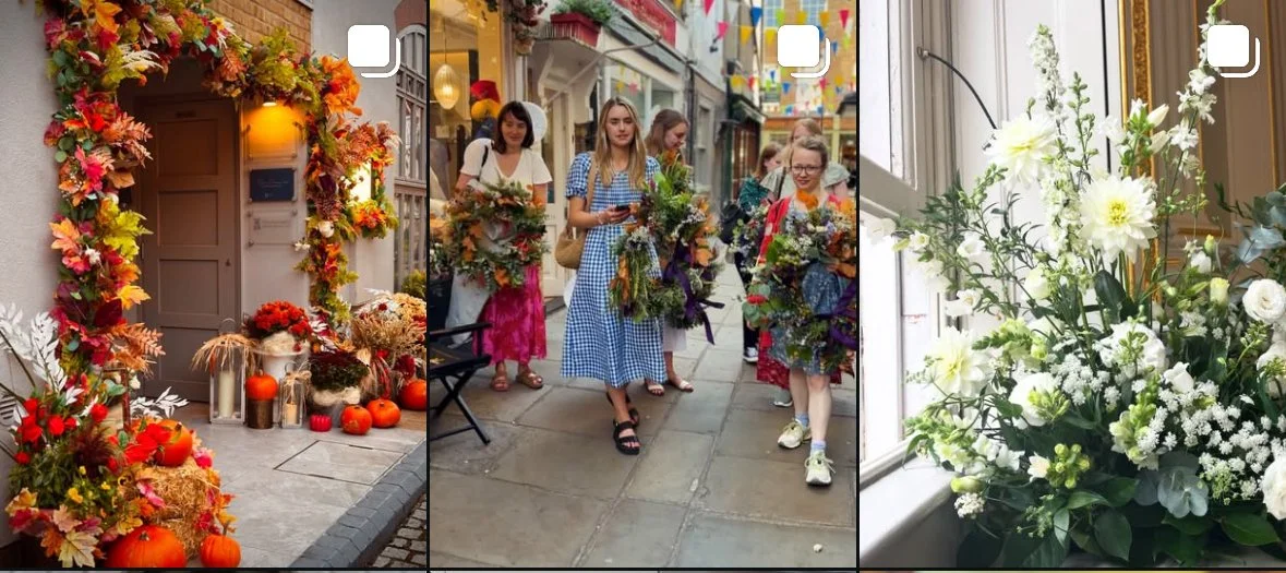 lilac and bloom flowers.jpg