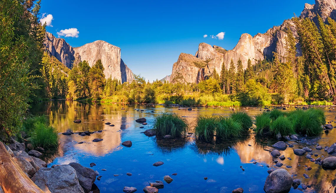 The 3 Best Ways to Reduce Your Carbon Footprint&nbsp; 