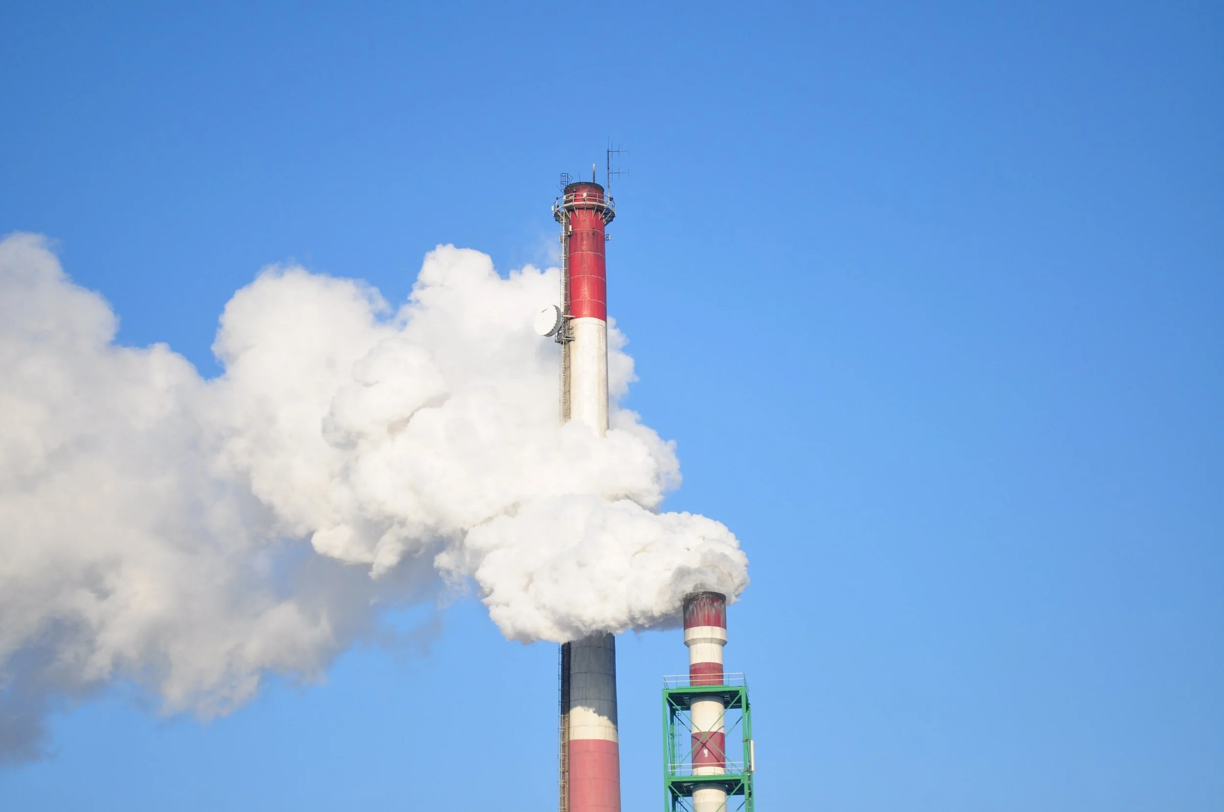 Carbon Offsetting and Your Small Business