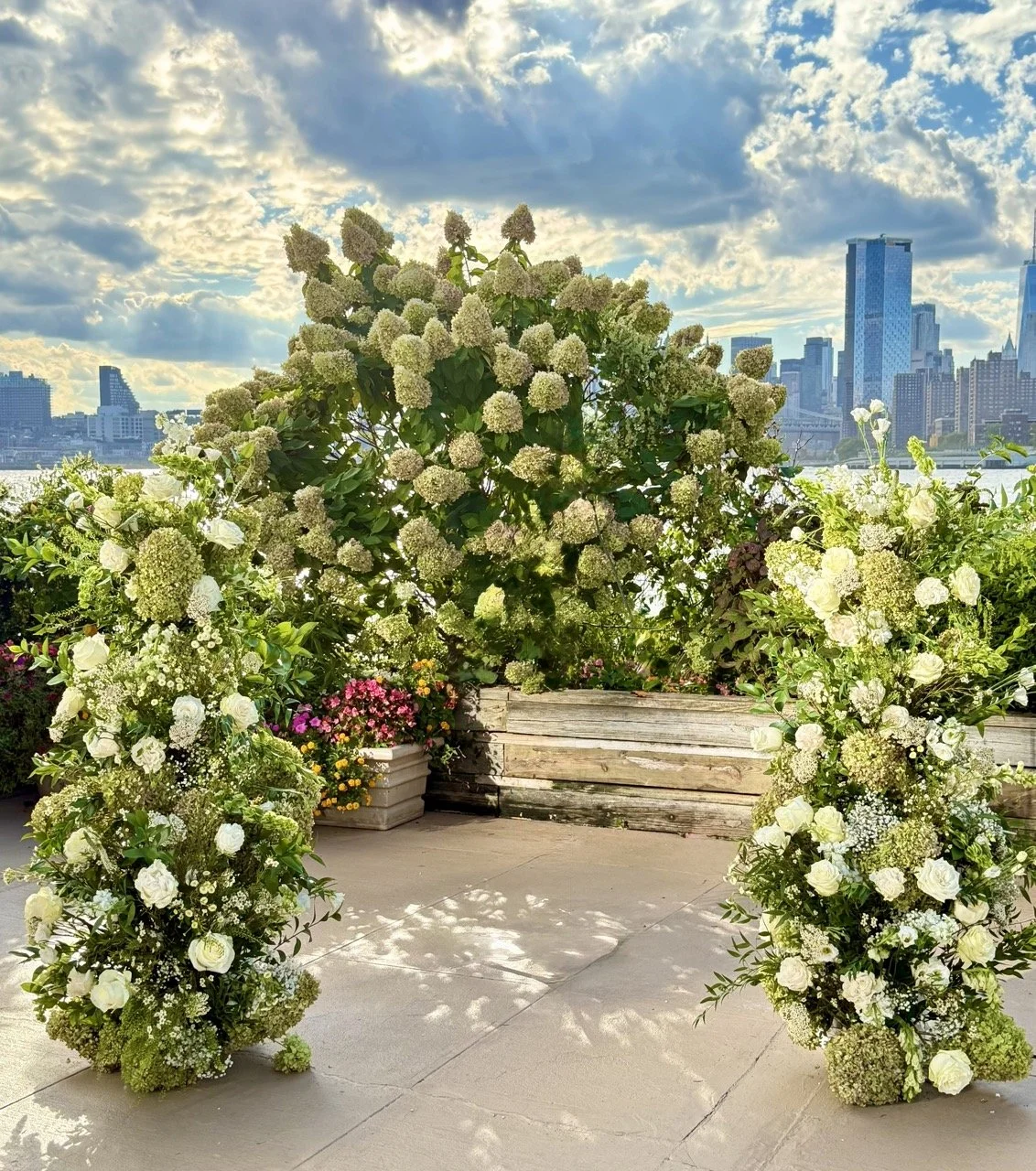 IMG_0590 2 Large.jpeg