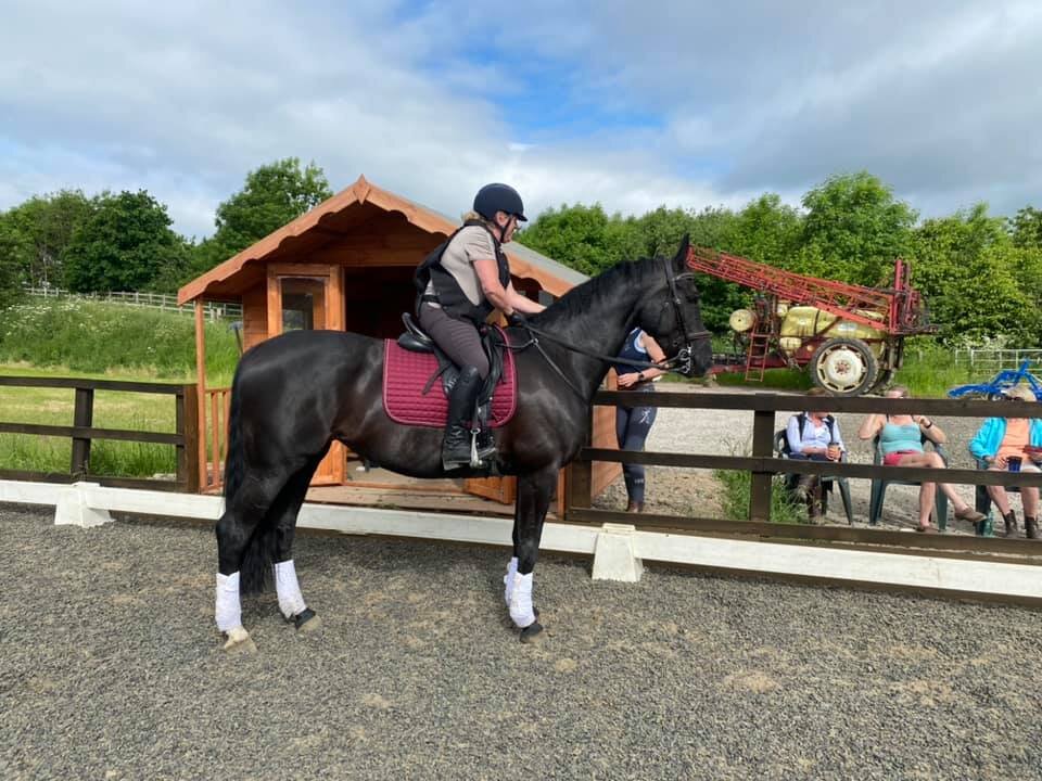 Summer successes in the ring and at home