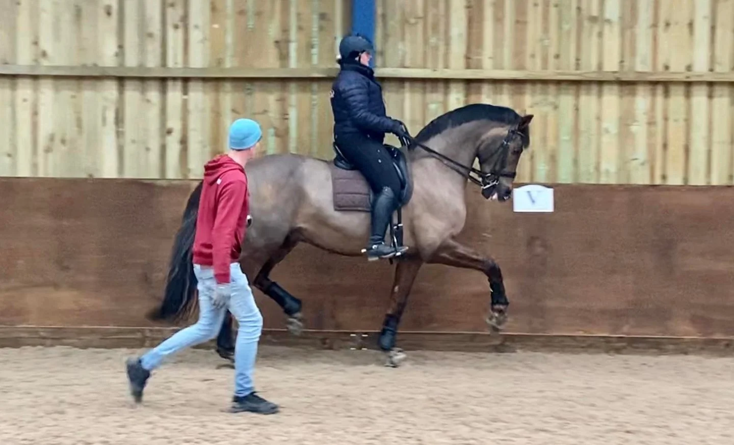 Whizzing through the year already!