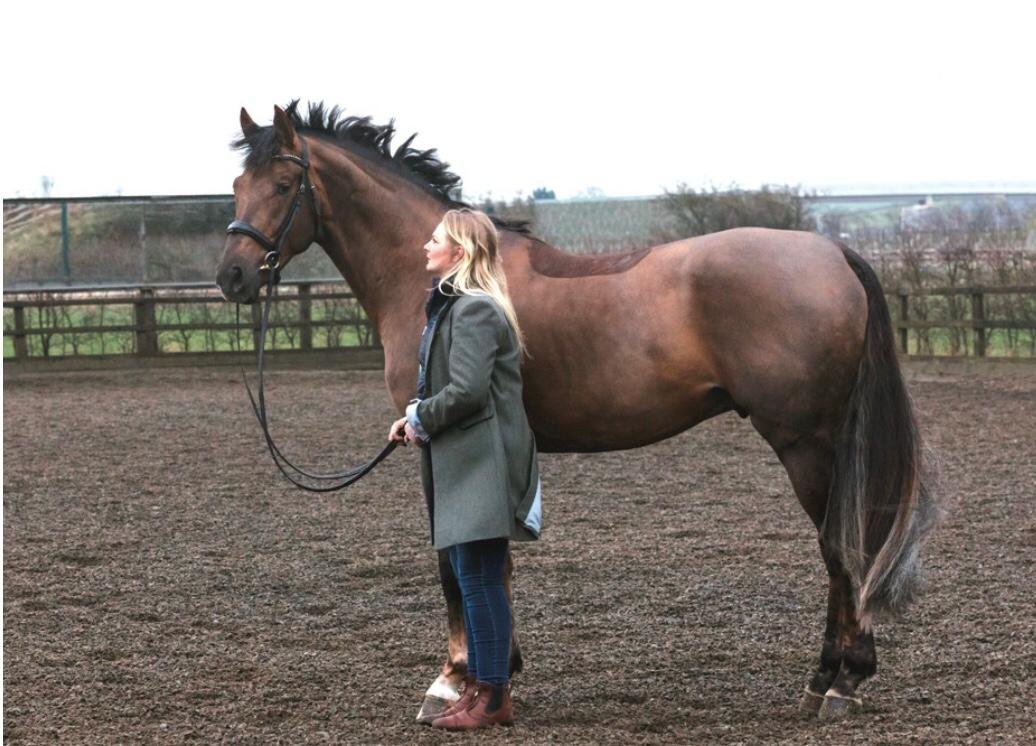 How you and your horse can train with me!