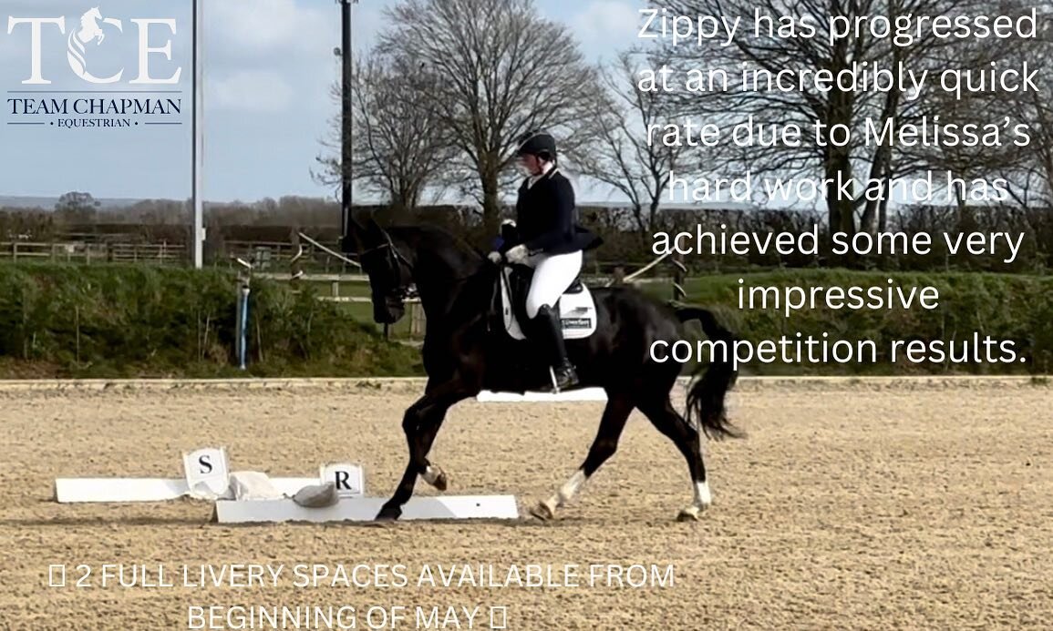 🦄 2 FULL LIVERY SPACES AVAILABLE FROM THE BEGINNING OF MAY🦄

If you are interested in your horse/pony joining us here at TCE please get in touch so we can have a chat.  I can offer:

⭐️ Full Livery
⭐️ Full Training/ Schooling livery with the possib