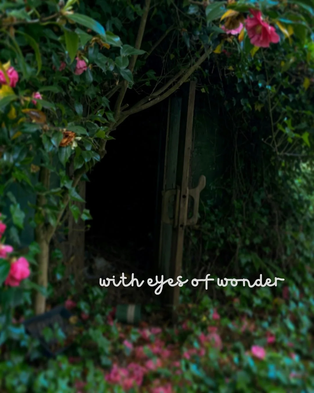 with eyes of wonder.jpg