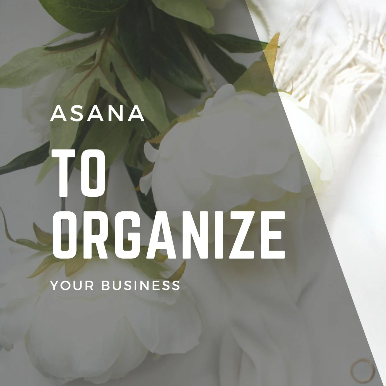 How Asana Can Help Small Businesses Stay Organized and Boost Productivity