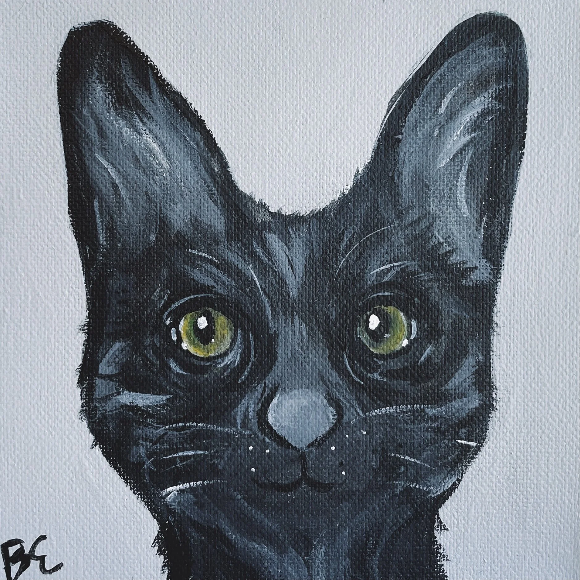 "EMMA" (6x6"); sold, custom cat pet portrait painting