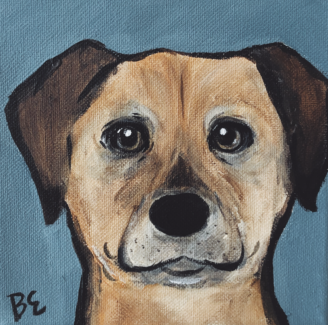 "MAIZIE" (6x6"); sold, custom bull dog pet poortrait painting