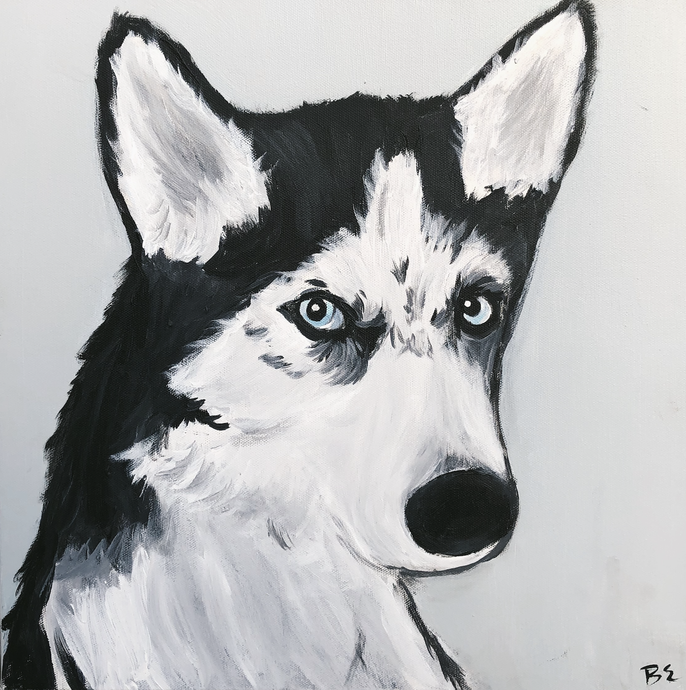 "SABER" (16x16"); sold, custom siberian husky pet portrait painting