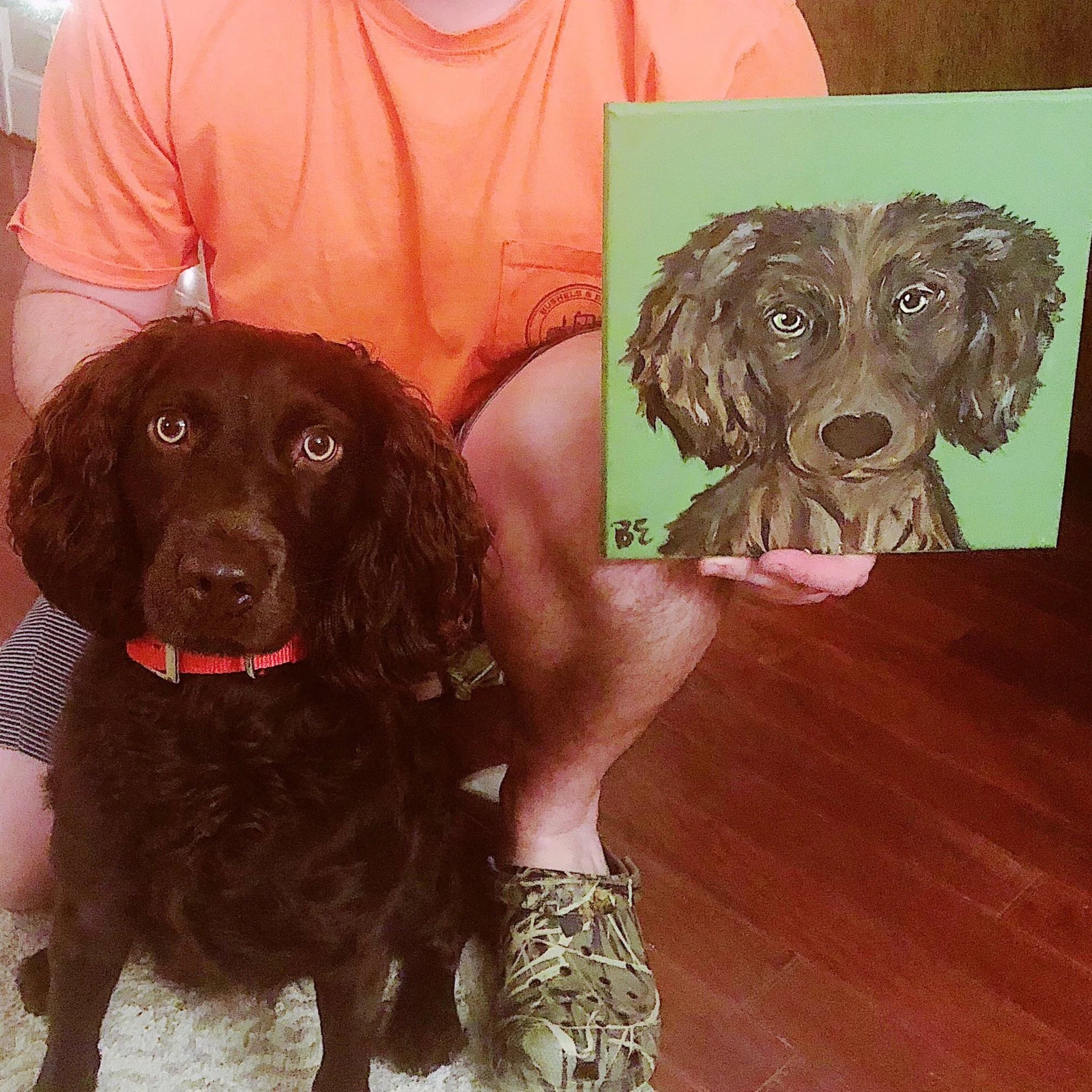 beth eberle pet portrait