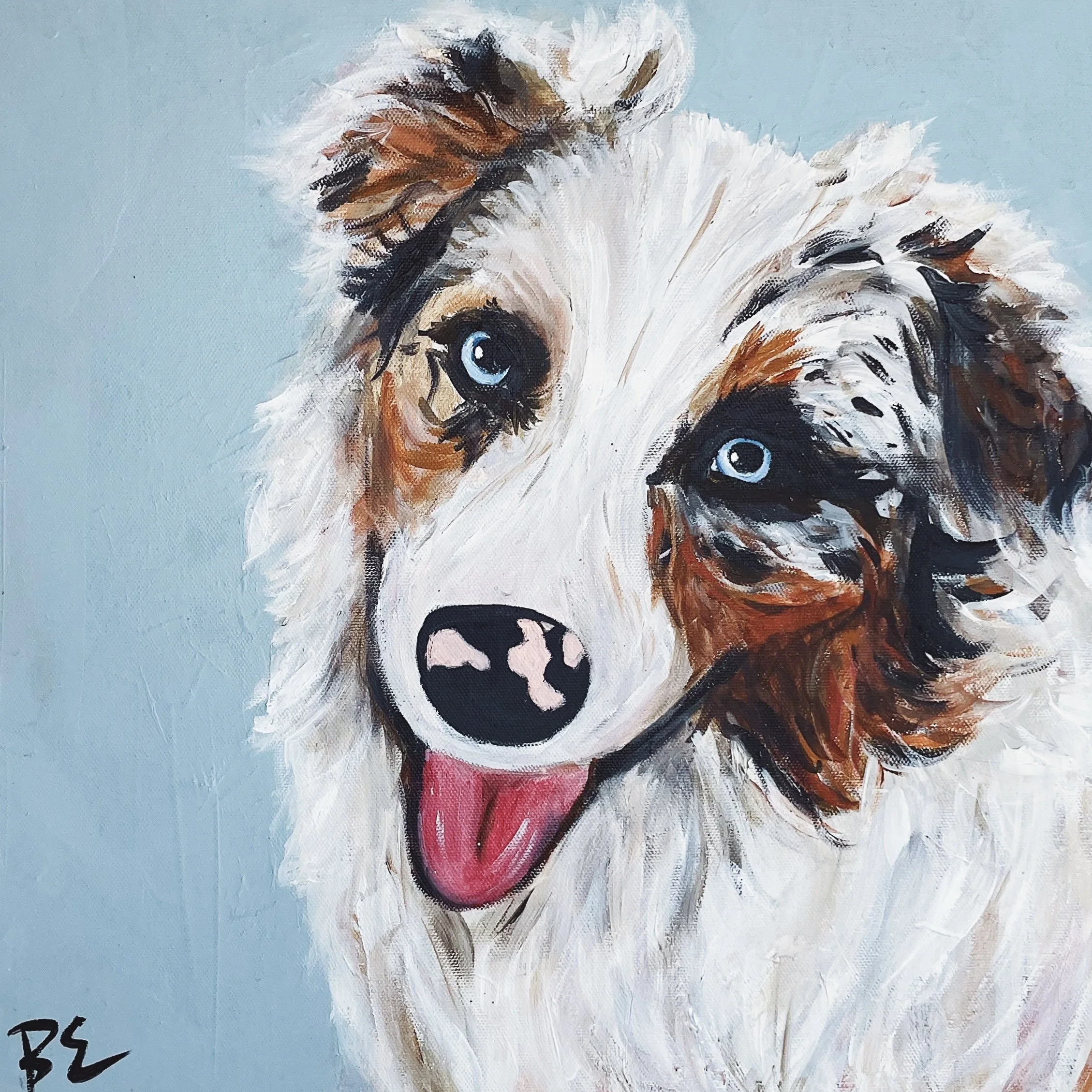 "COOPER" (16x16"); sold, custom red merle australian shepherd pet portrait painting