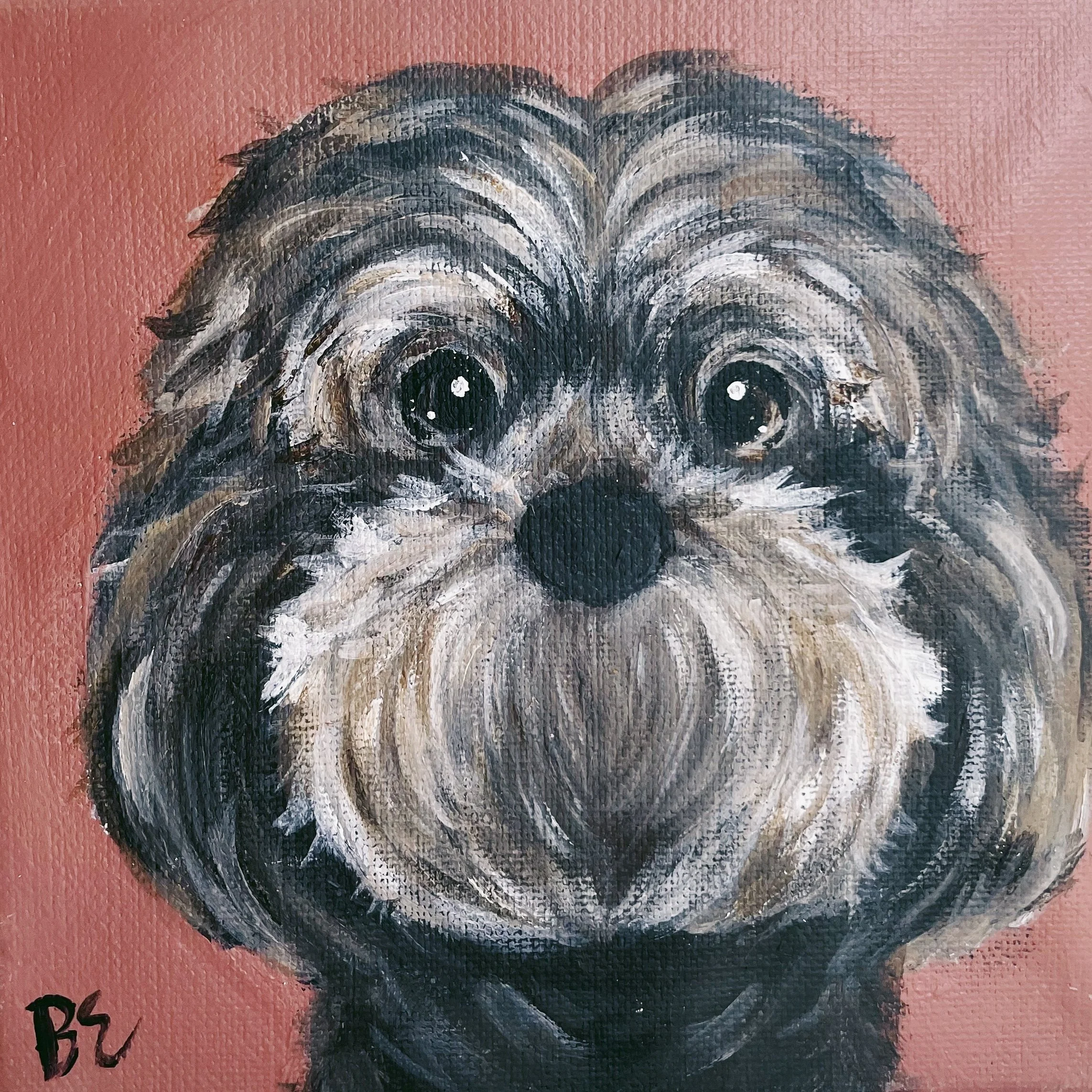 "WOOKIE" (6x6"); custom shitzu pet portrait painting