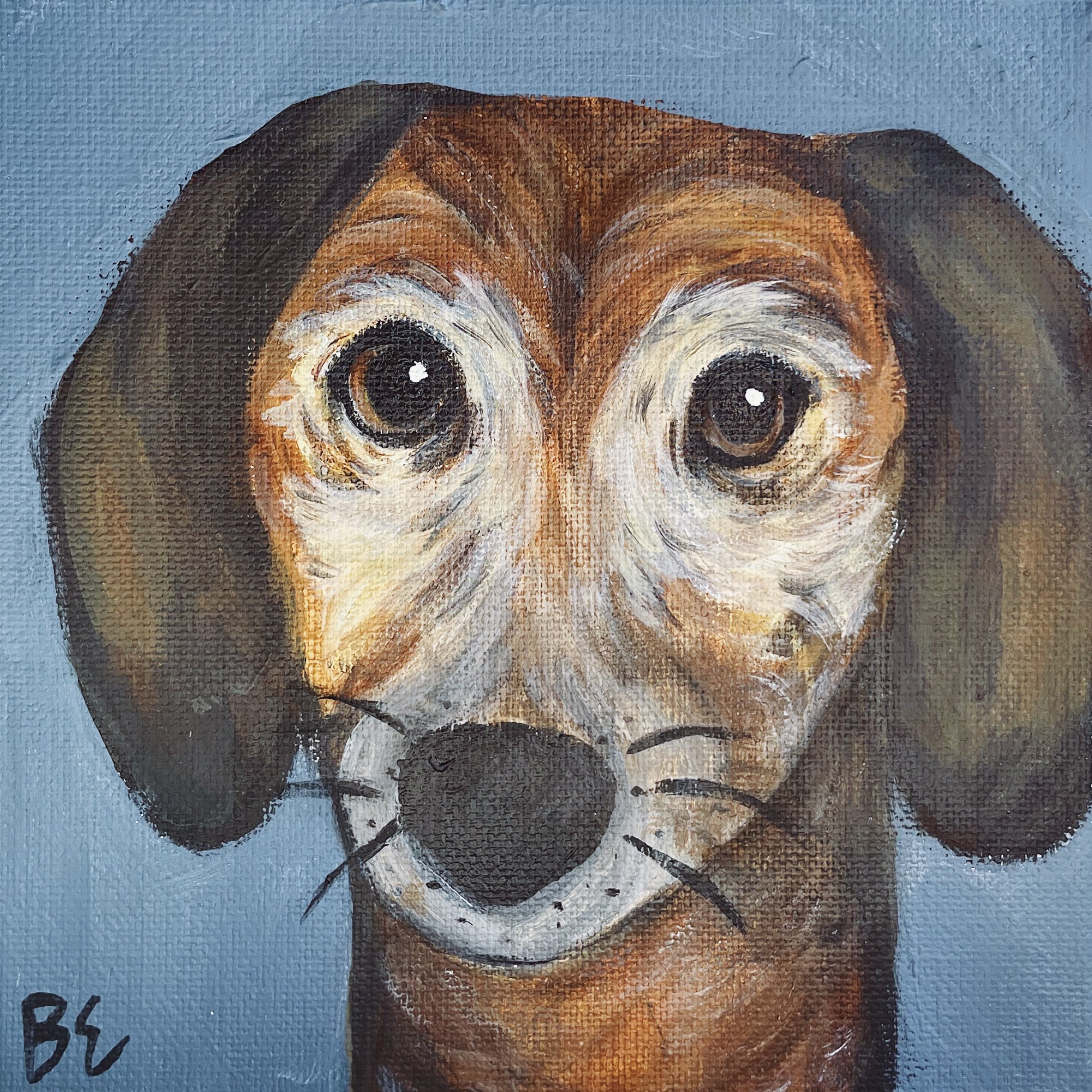 "OZZIE" (6x6"); sold, custom mini dachshund pet portrait painting