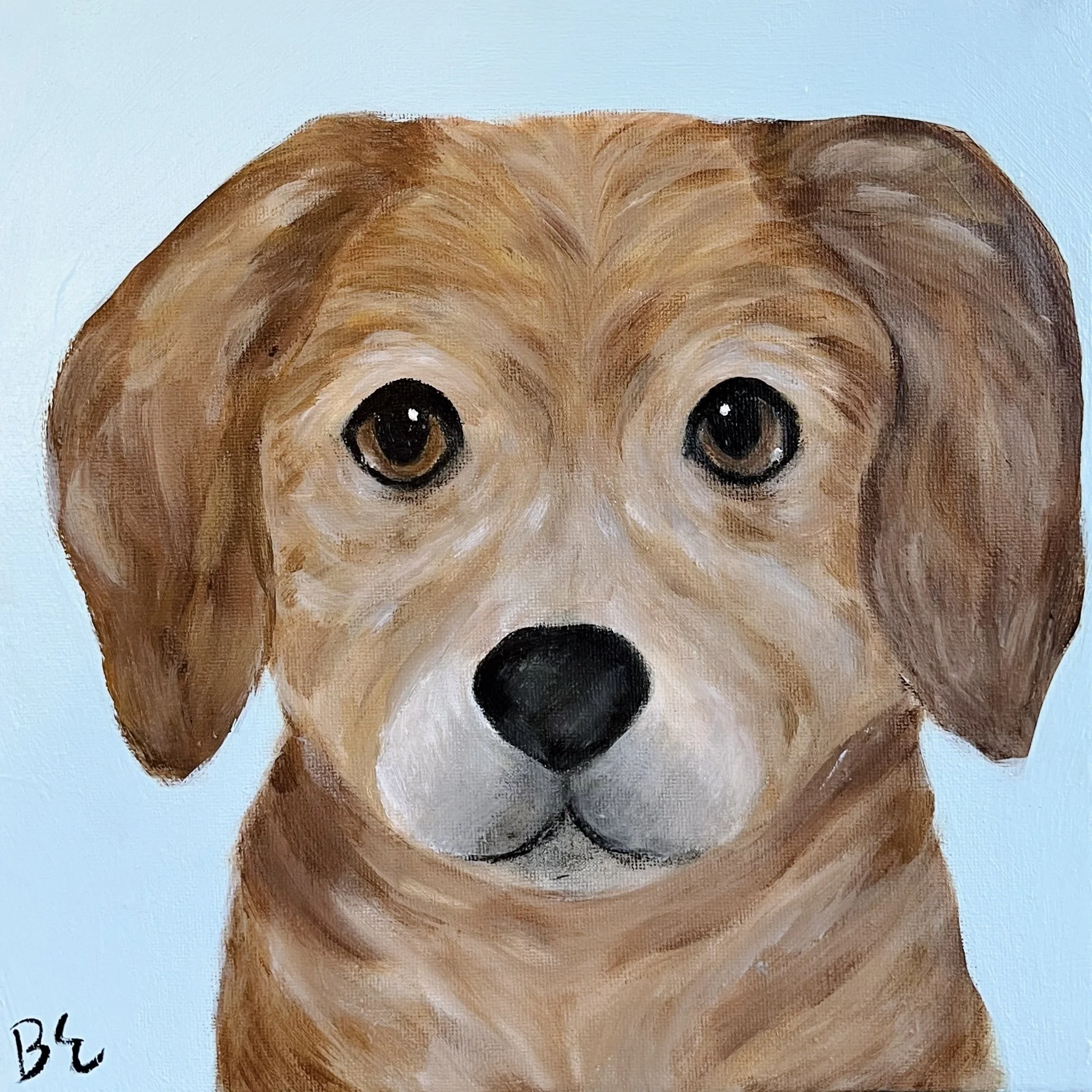 "CASHEW" (10x10"); sold, custom beagle pet portrait painting