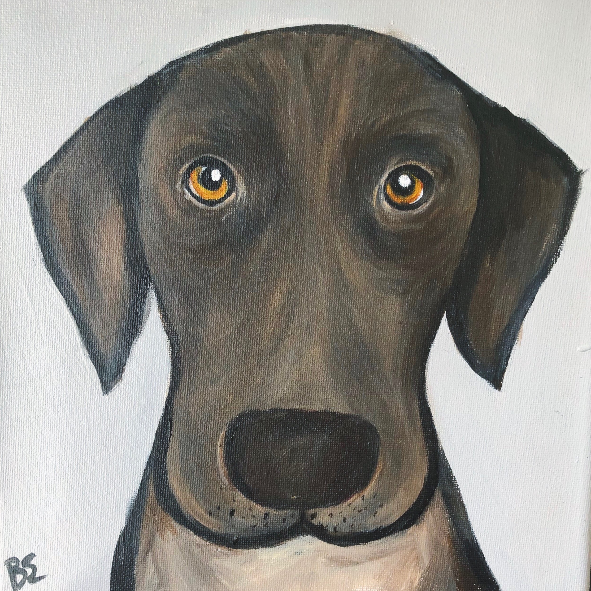 "BENTLY" (10X10"); sold, custom lab pet portrait painting