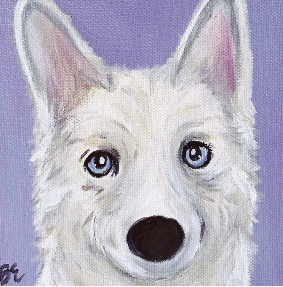 "MOMO" (6x6"); sold, custom husky pet portrait painting