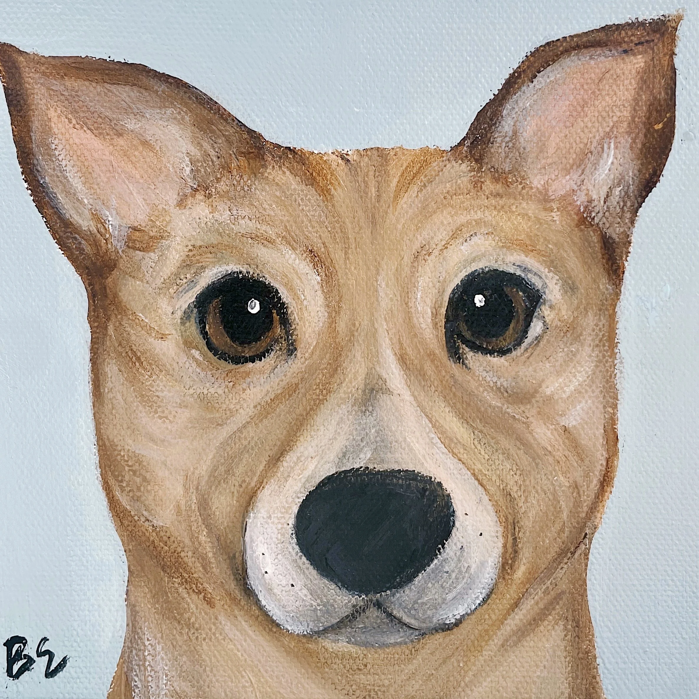 "TACO" (6x6"); sold, custom boxer husky pet portrait painting